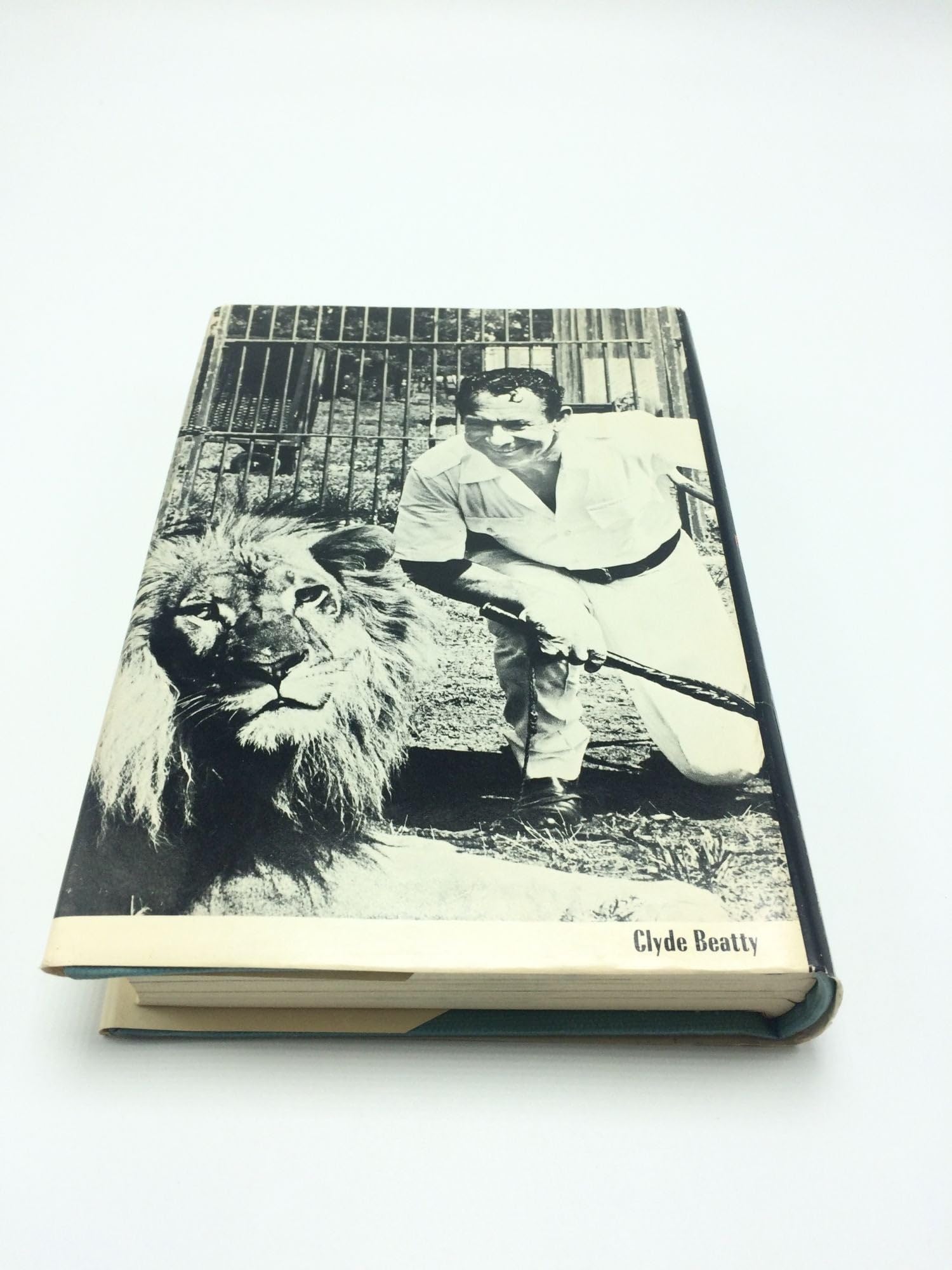 Facing the Big Cats: My World of Lions and Tigers