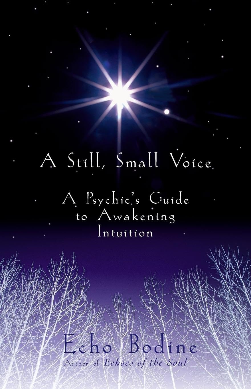 A Still, Small Voice: A Psychic's Guide to Awakening Intuition used book depot
