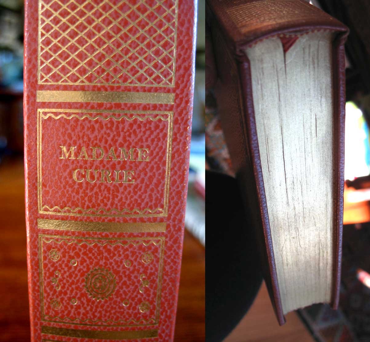 Madame Curie: A Biography used book depot