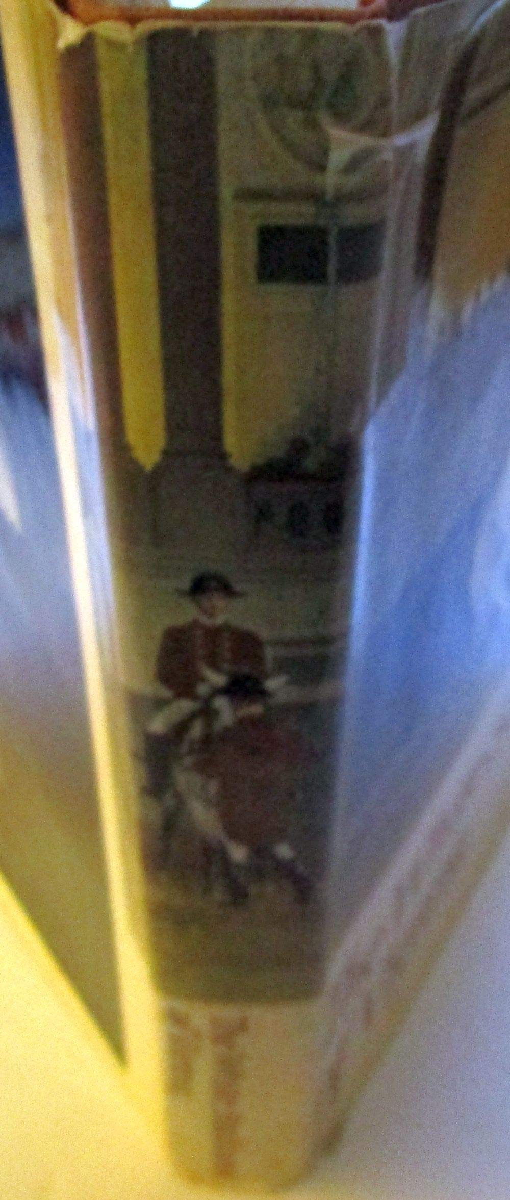 The White Stallions of Vienna