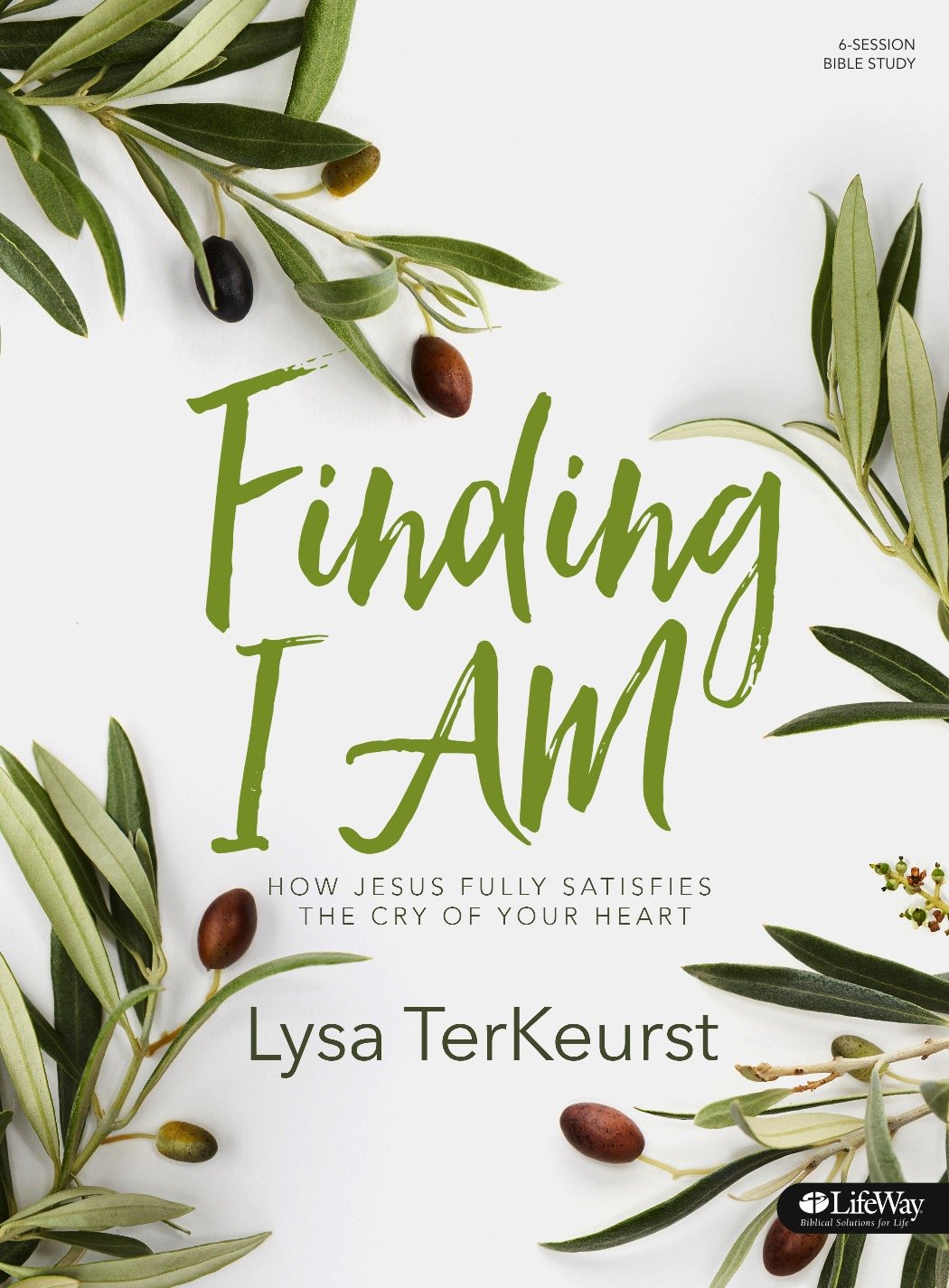 Finding I AM: How Jesus Fully Satisfies the Cry of Your Heart - Bible Study Book used book depot