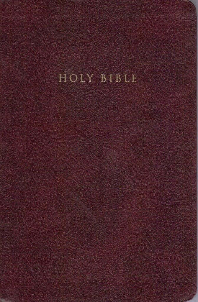 NIV Reference Bible, Personal Size (Burgundy Leather-Look) used book depot