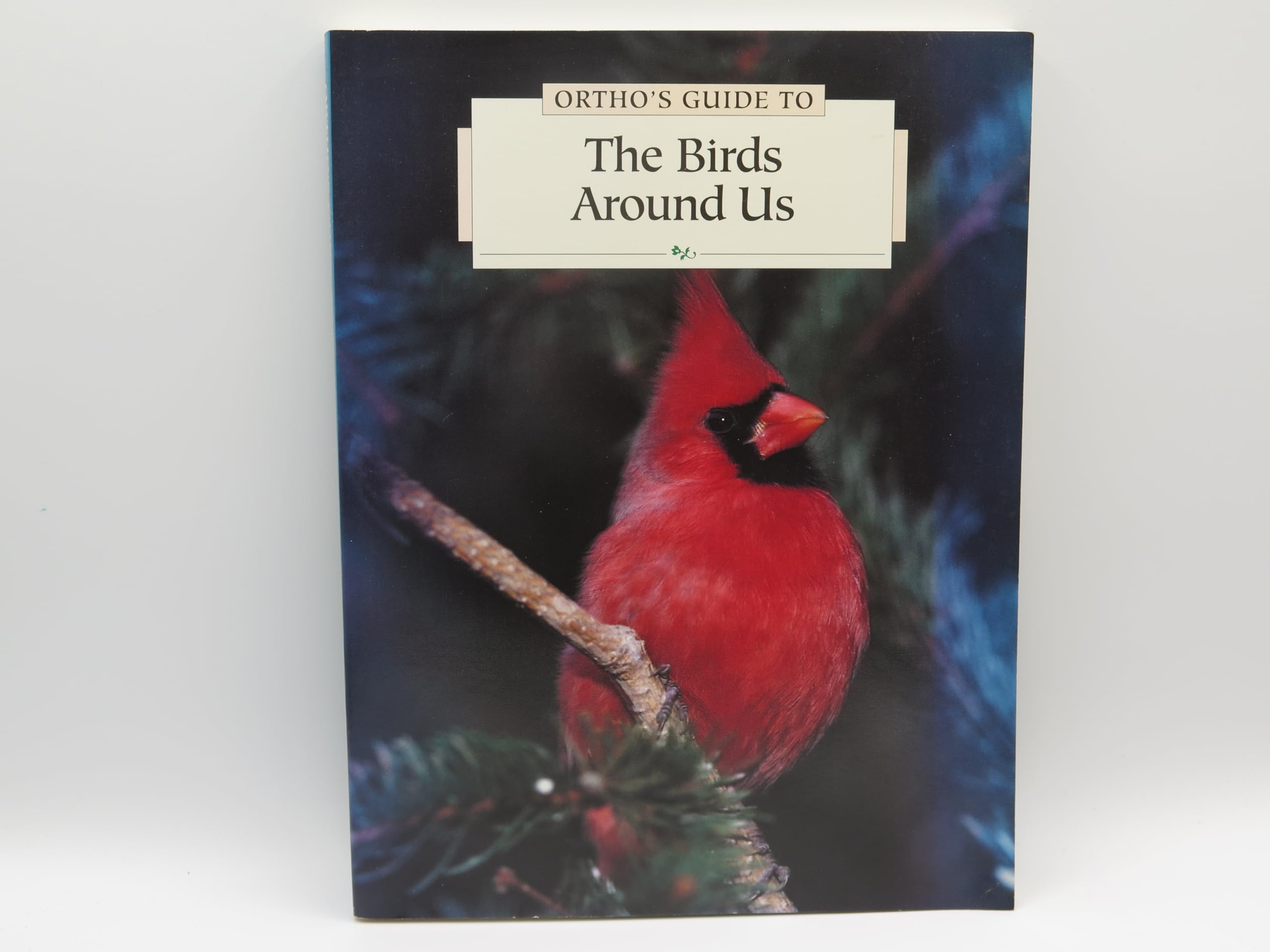 The Birds Around Us used book depot