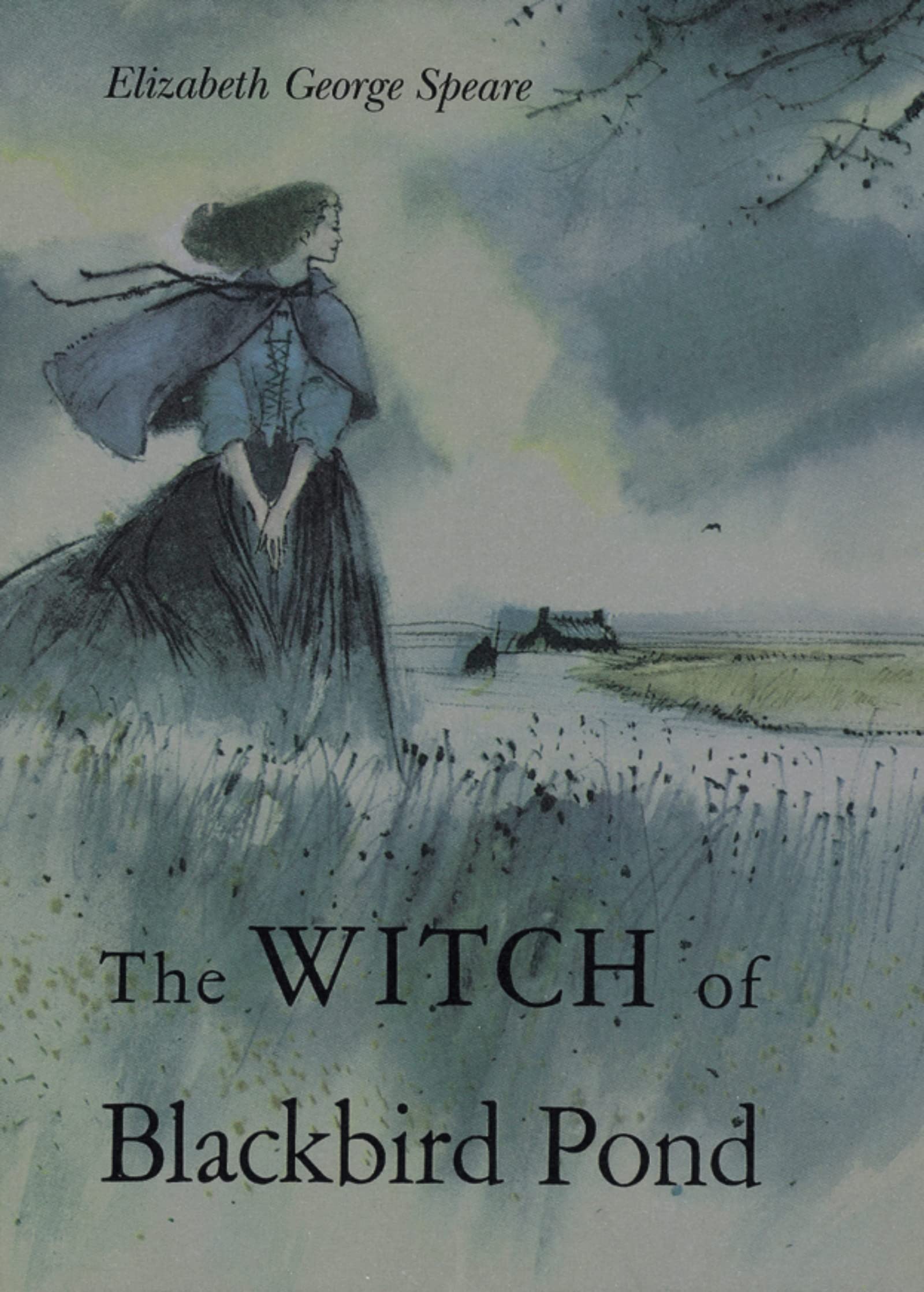 The Witch of Blackbird Pond: A Newbery Award Winner used book depot