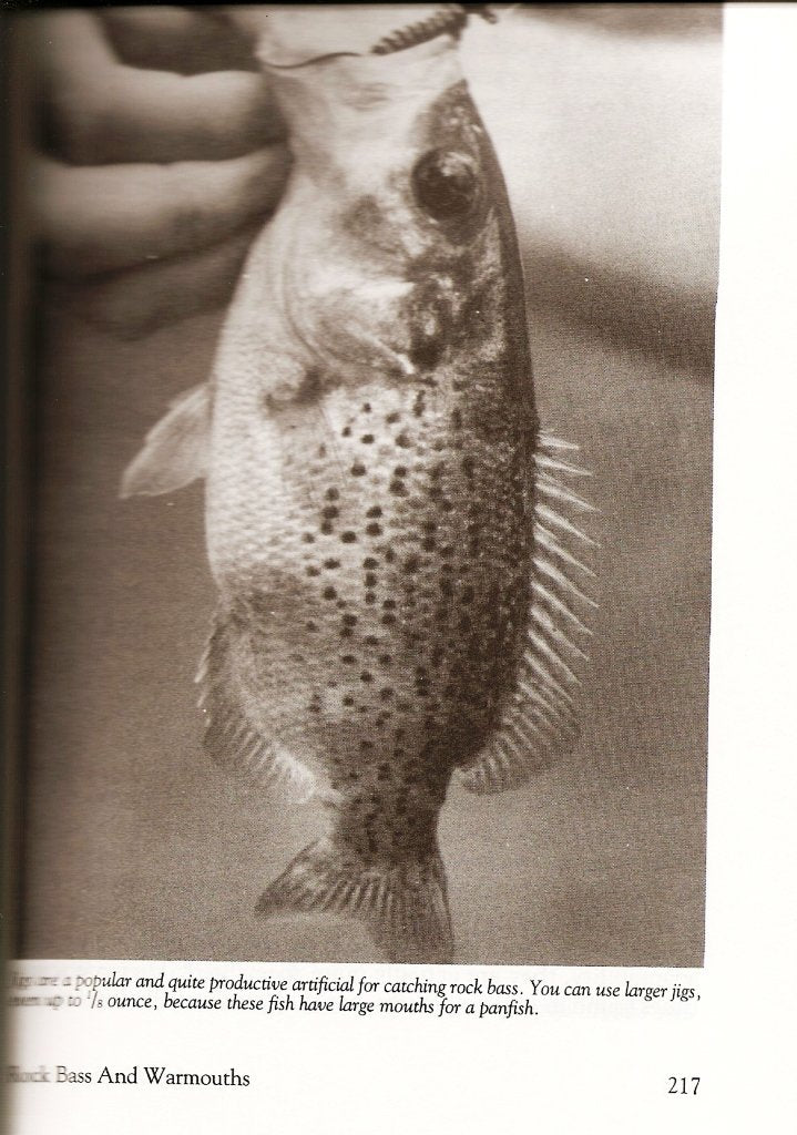 Panfishing used book depot
