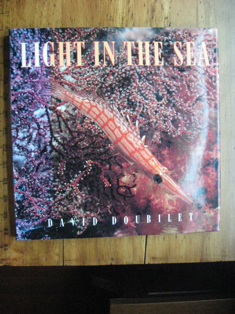 Light in the Sea used book depot