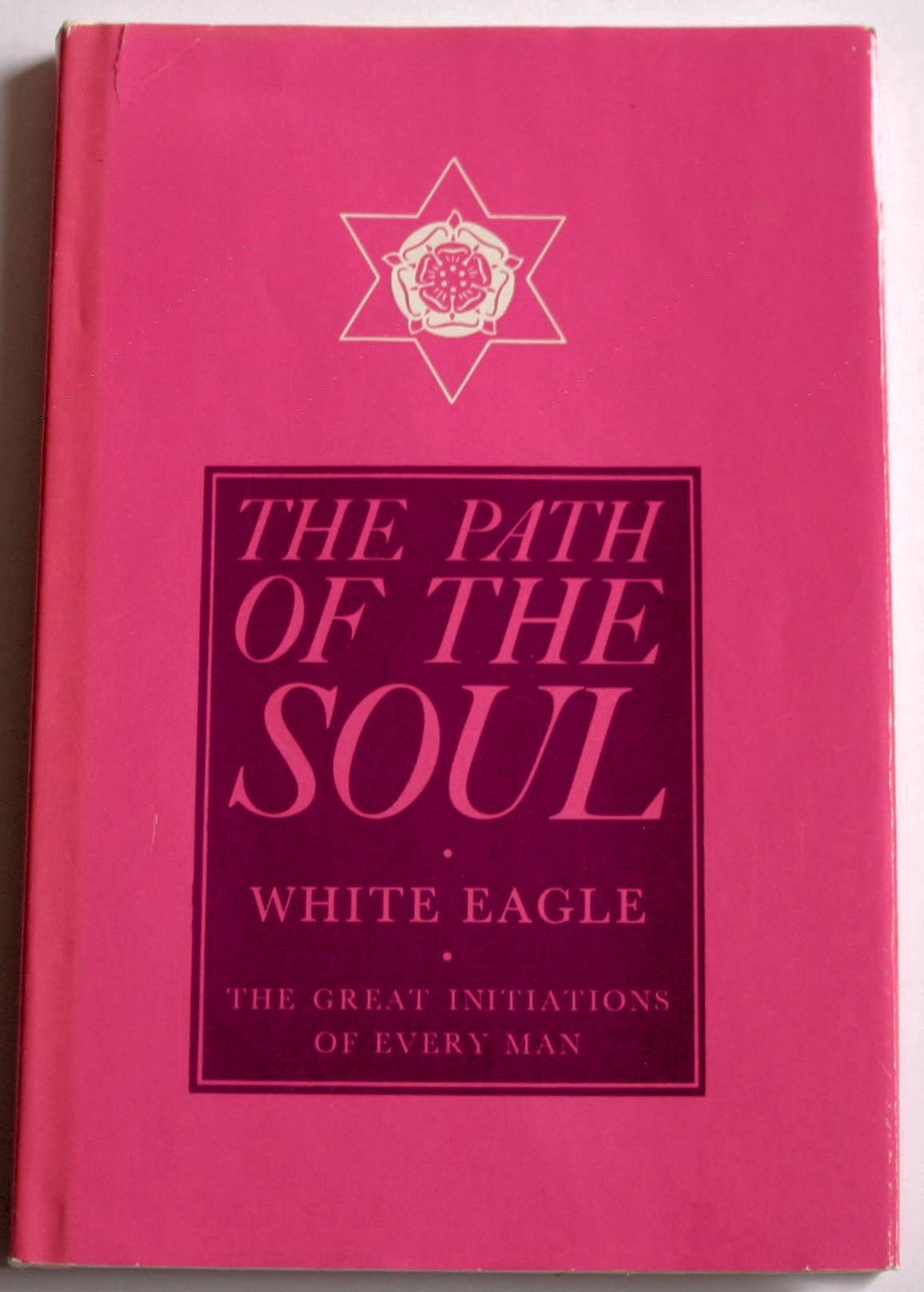 Path of the Soul used book depot