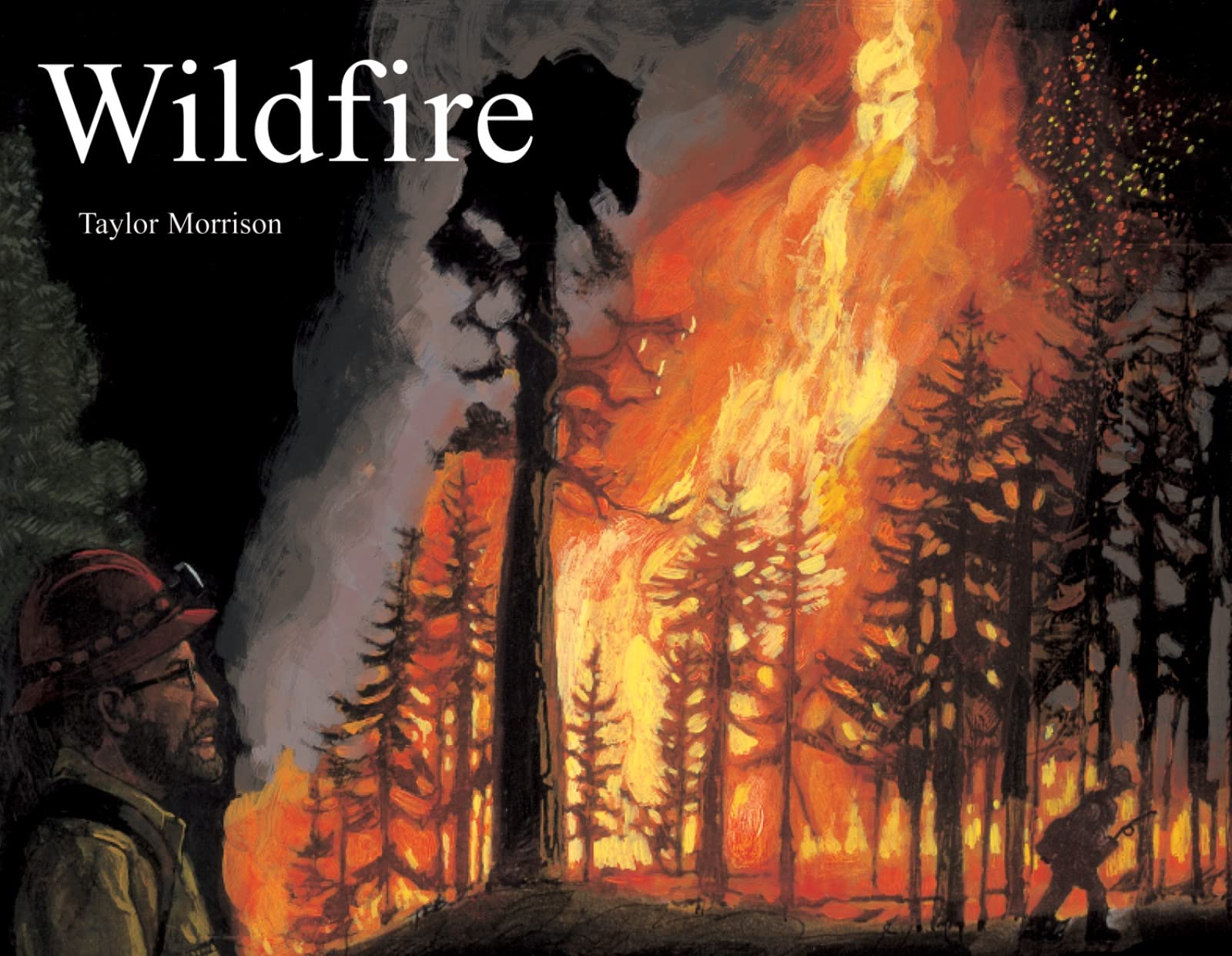 Wildfire used book depot