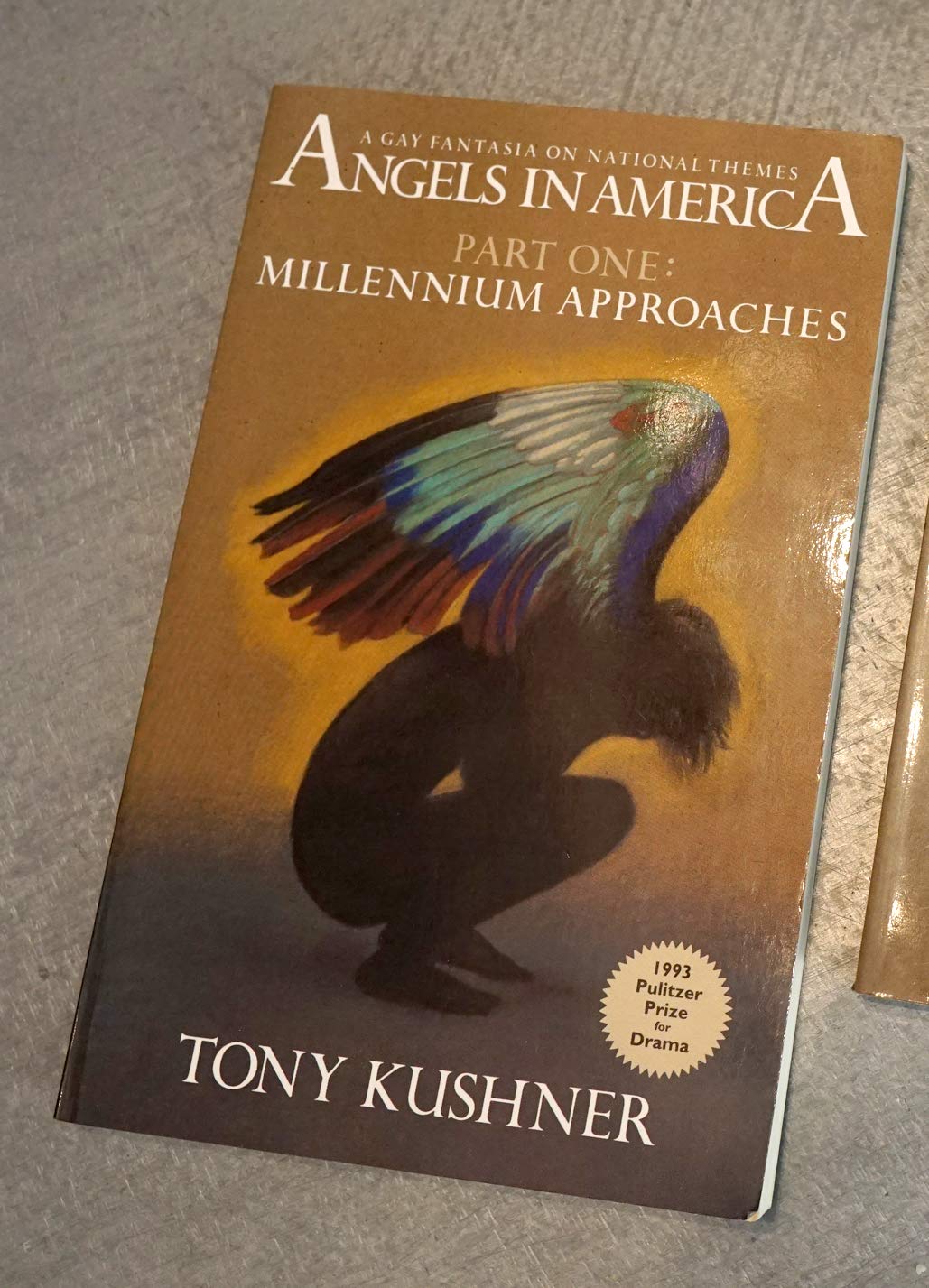 Angels in America, Part One: Millennium Approaches used book depot