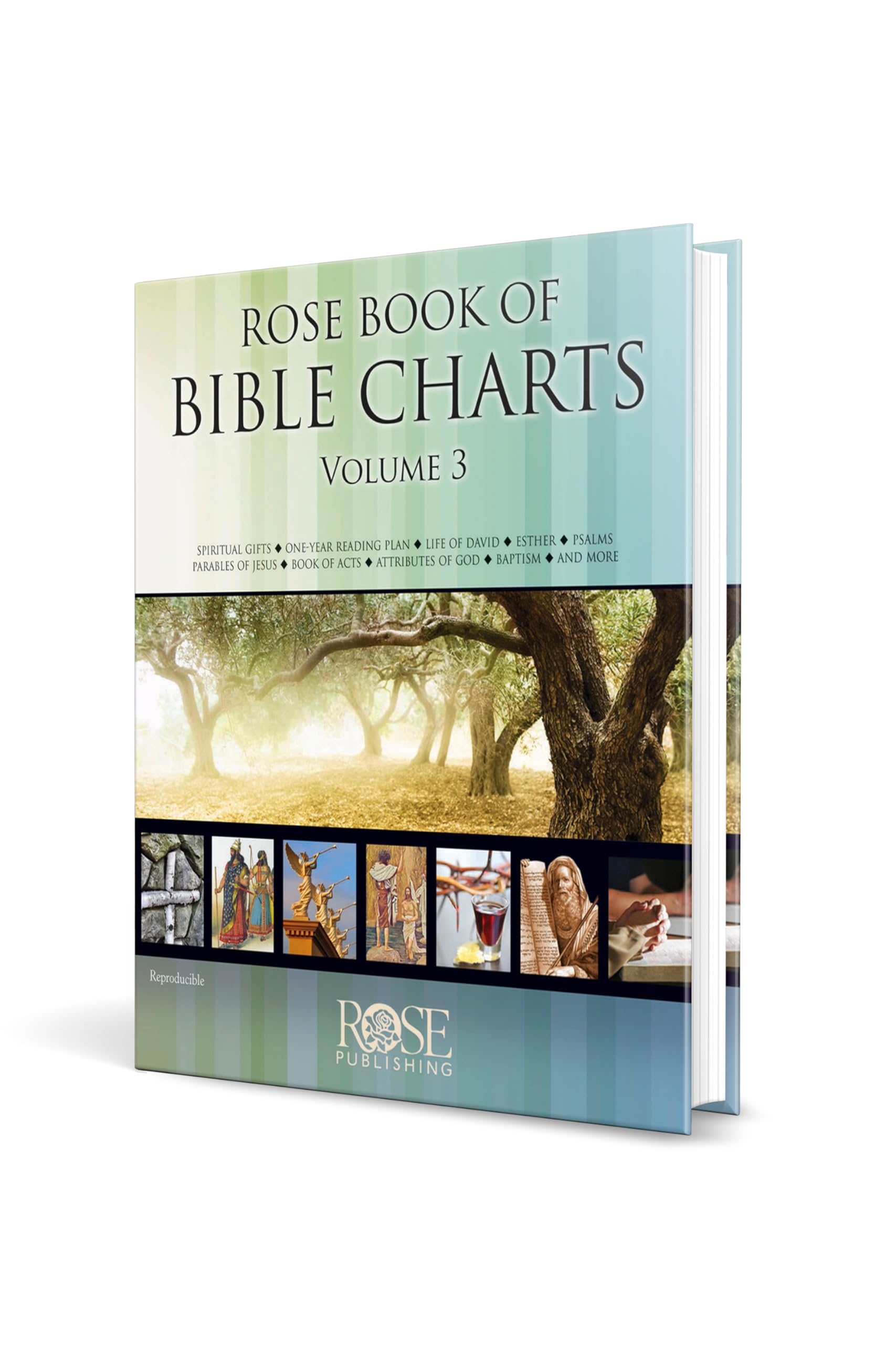 Rose Book of Bible Charts, Volume 3 used book depot