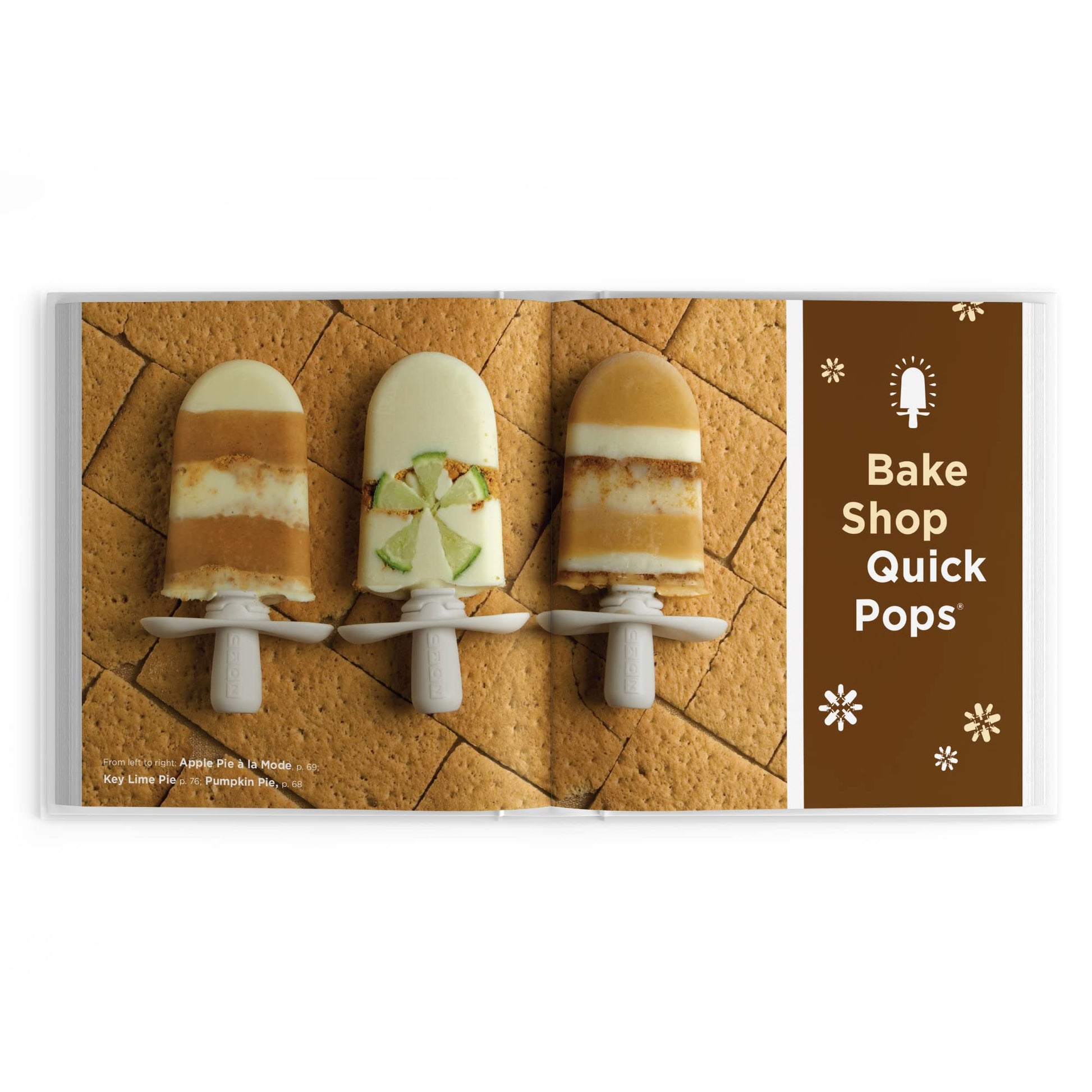 Zoku Quick Pops Recipe Book, Perfect the Art of Popsicle Making used book depot