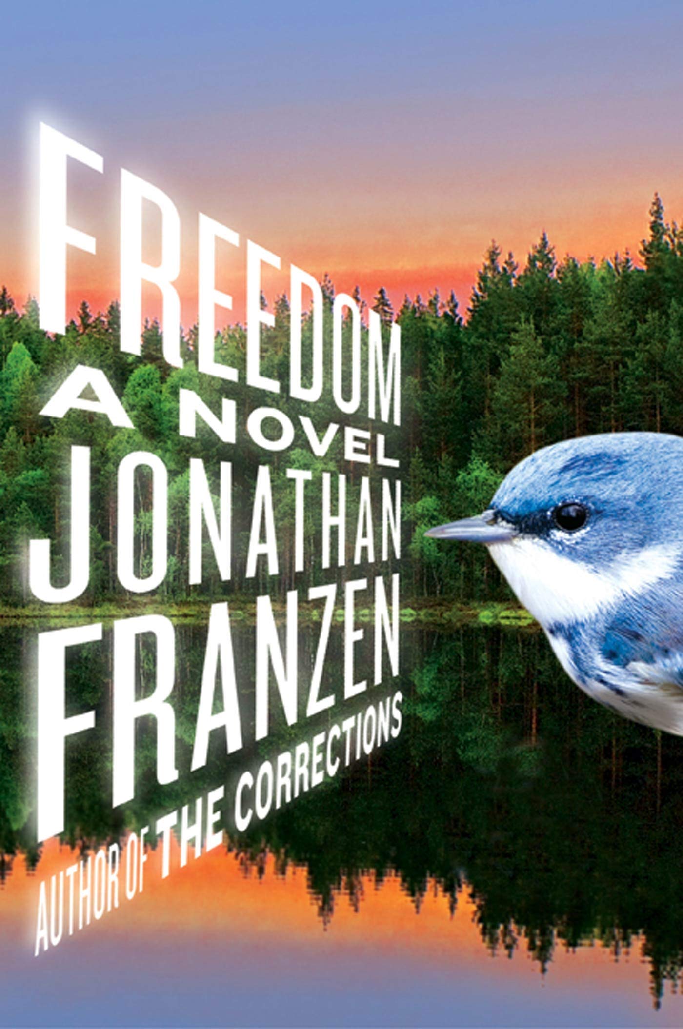 Freedom: A Novel used book depot