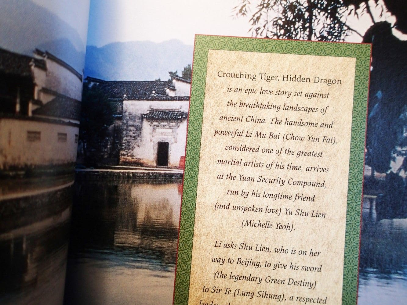 Crouching Tiger, Hidden Dragon: A Portrait of the Ang Lee Film (Pictorial Moviebook) used book depot