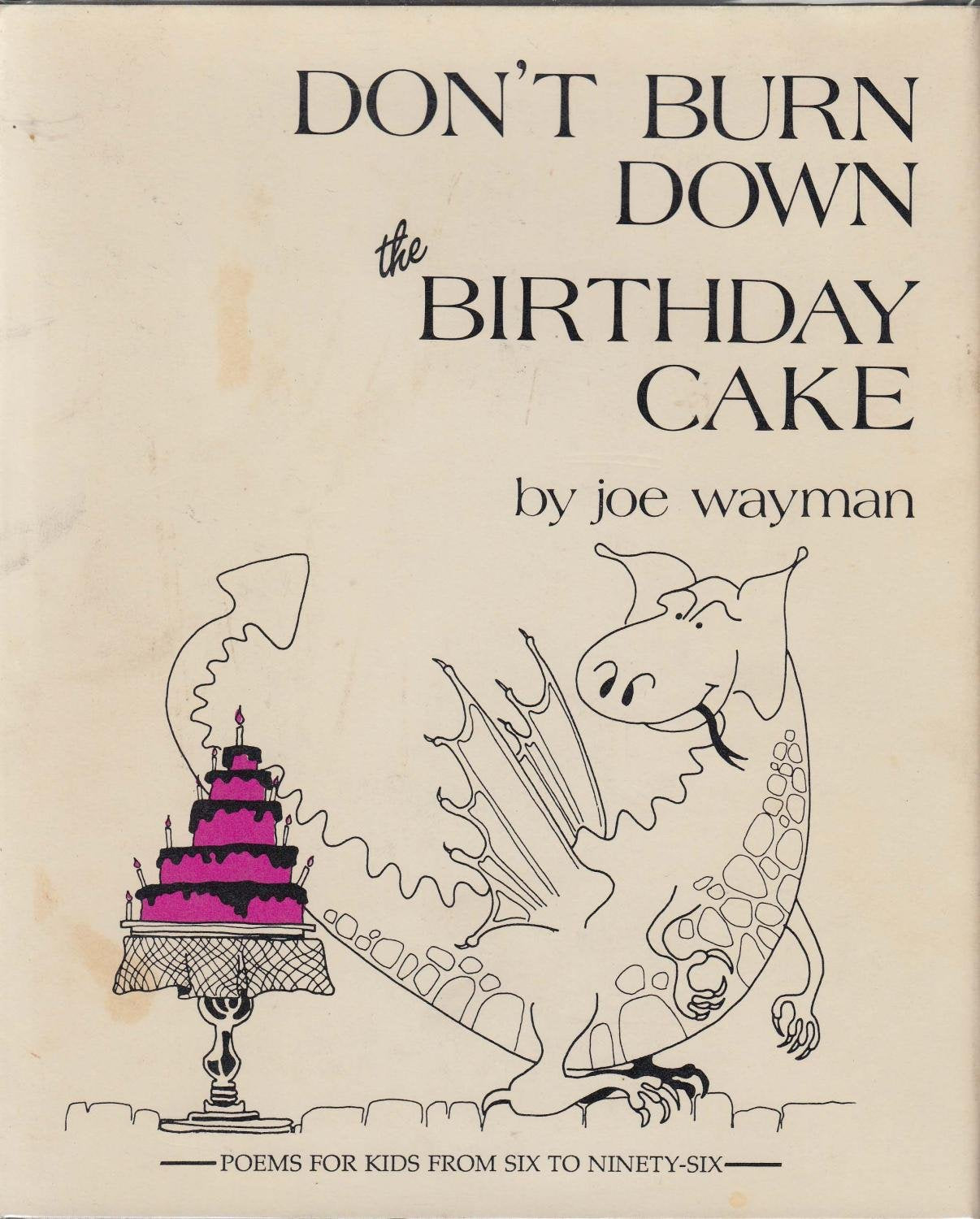 Don't Burn Down the Birthday Cake used book depot