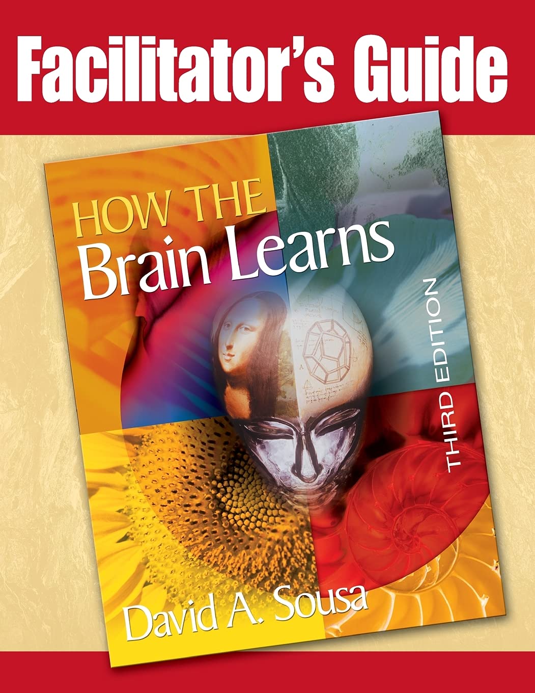 Facilitator's Guide to How the Brain Learns, 3rd Edition used book depot