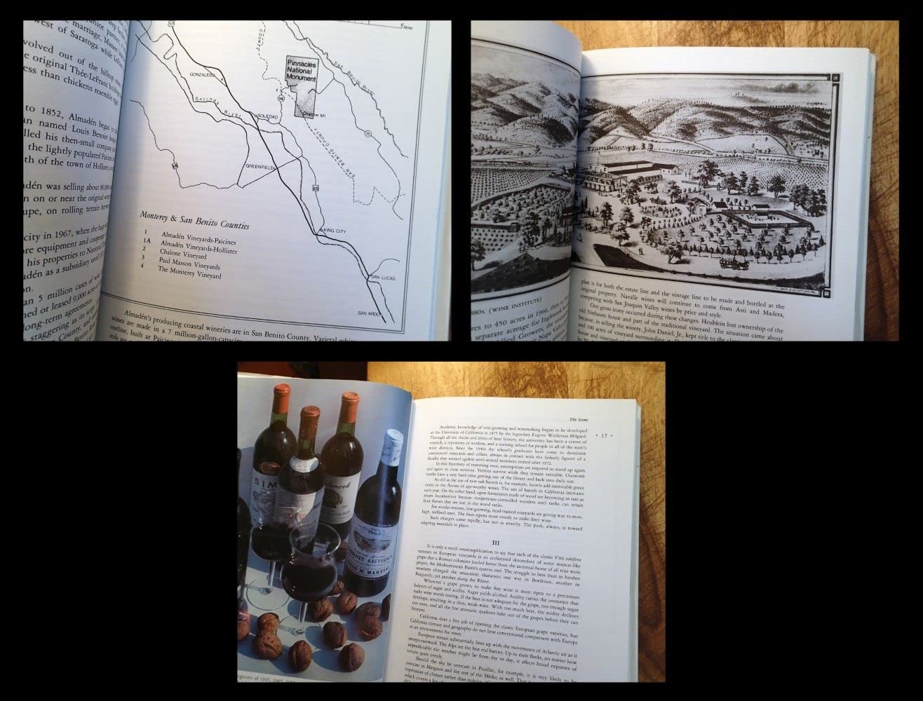 The California Wine Book
