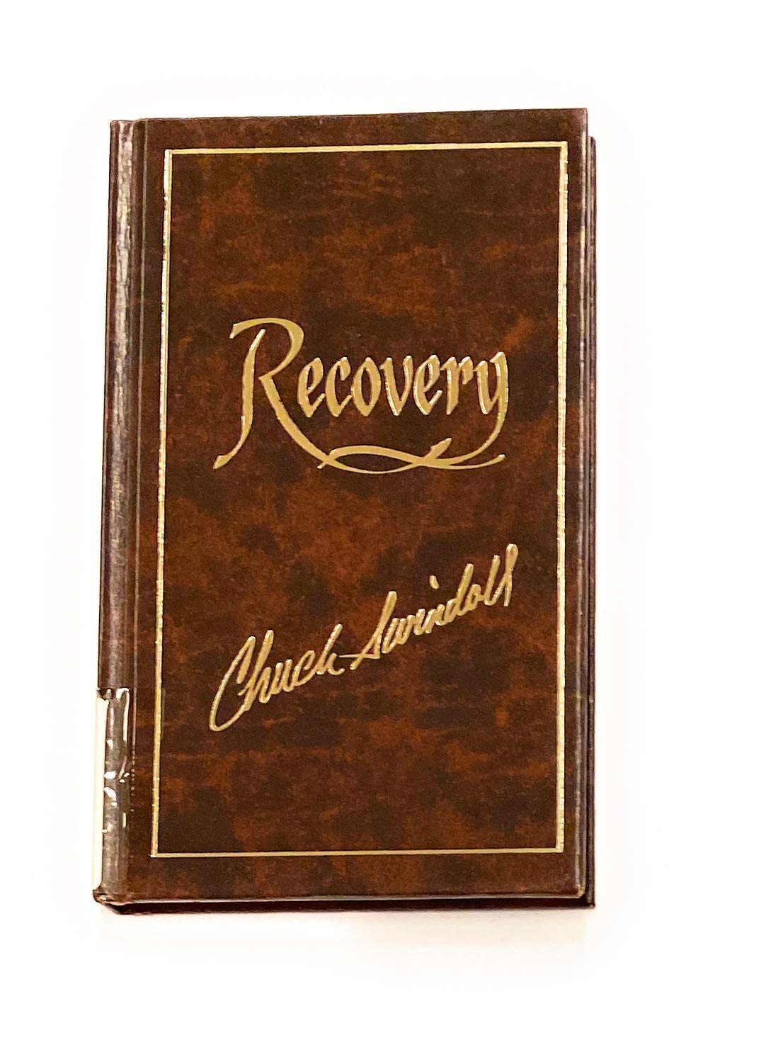 Recovery: When healing takes time (Lifemaps) used book depot
