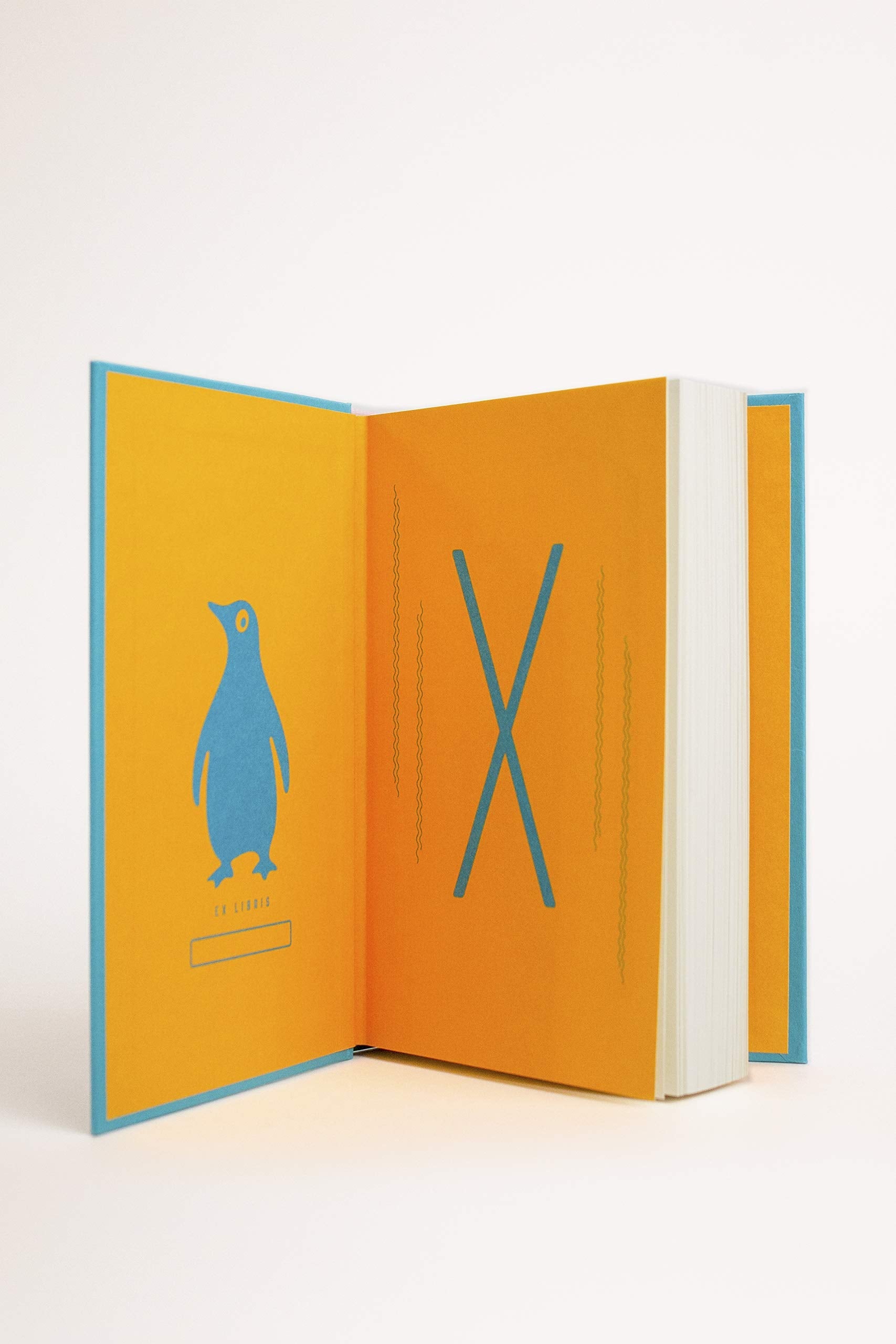 Before Night Falls: A Memoir (Penguin Vitae) used book depot