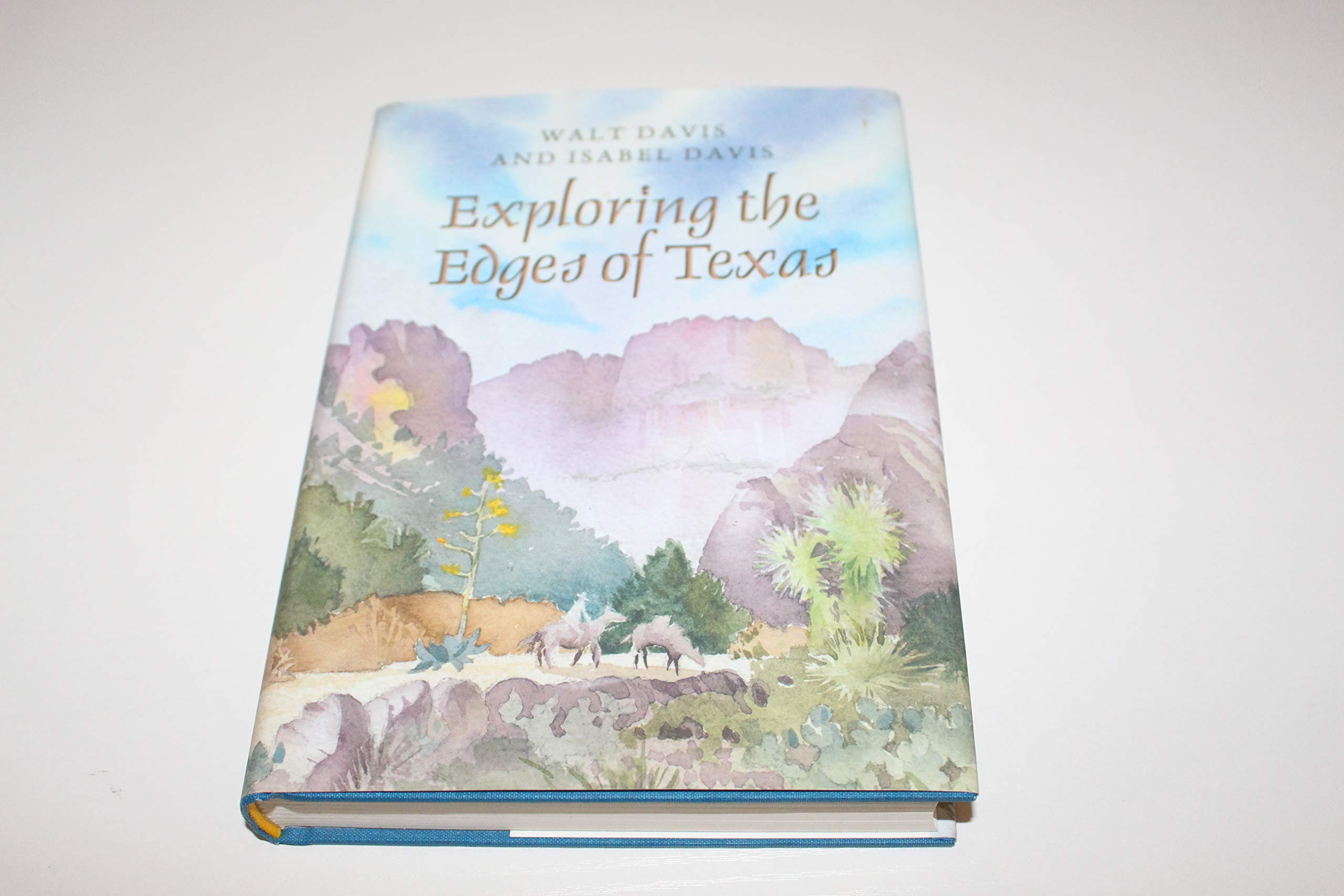 Exploring the Edges of Texas used book depot