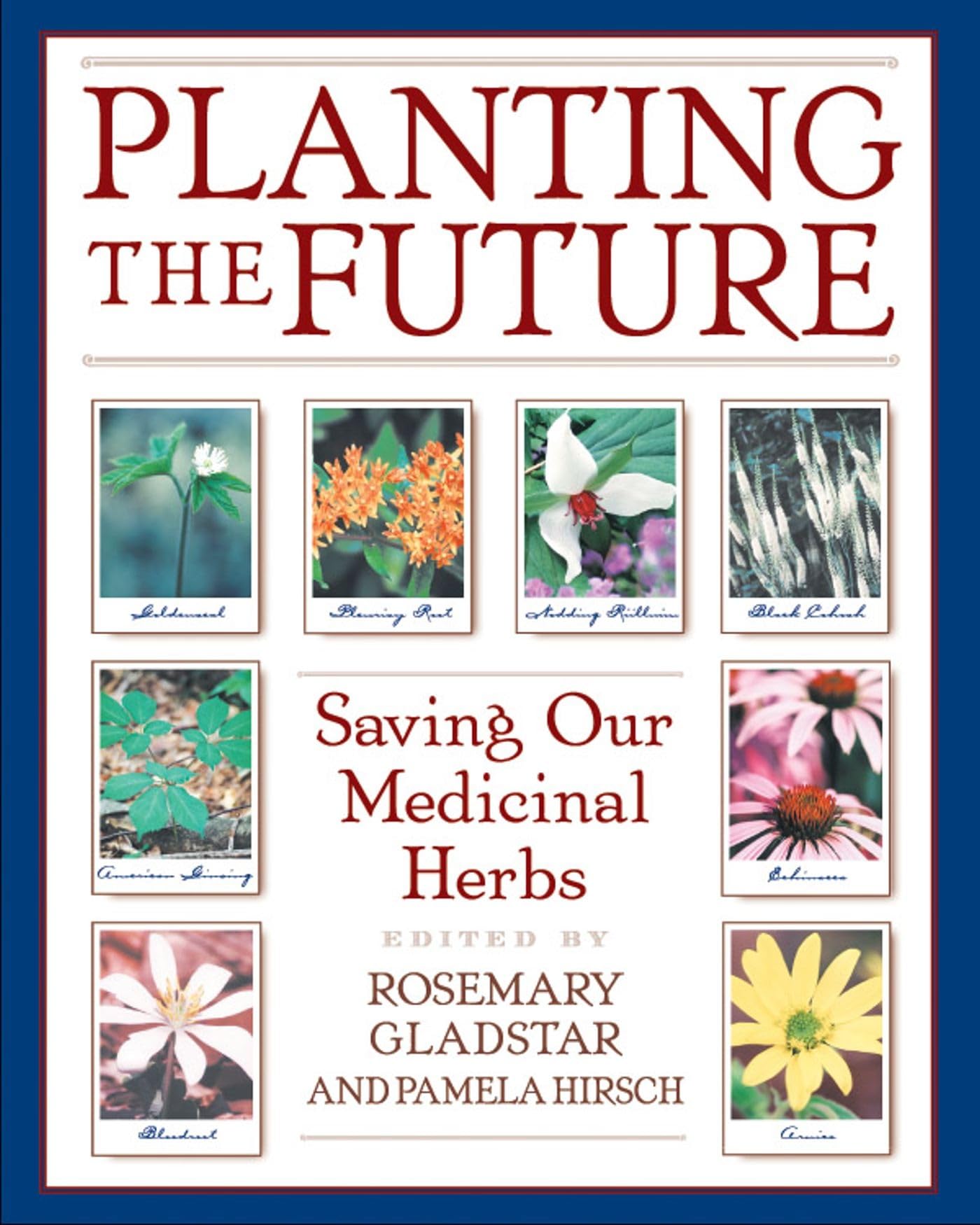 Planting the Future: Saving Our Medicinal Herbs used book depot