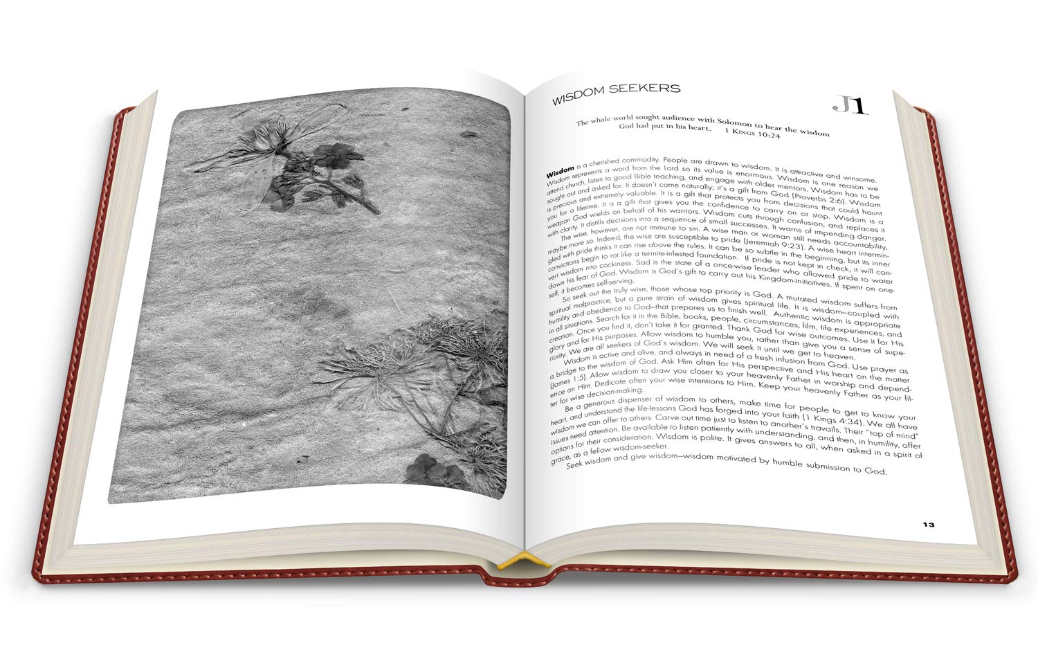 Seeking God's Heart: 365 Daily Devotions