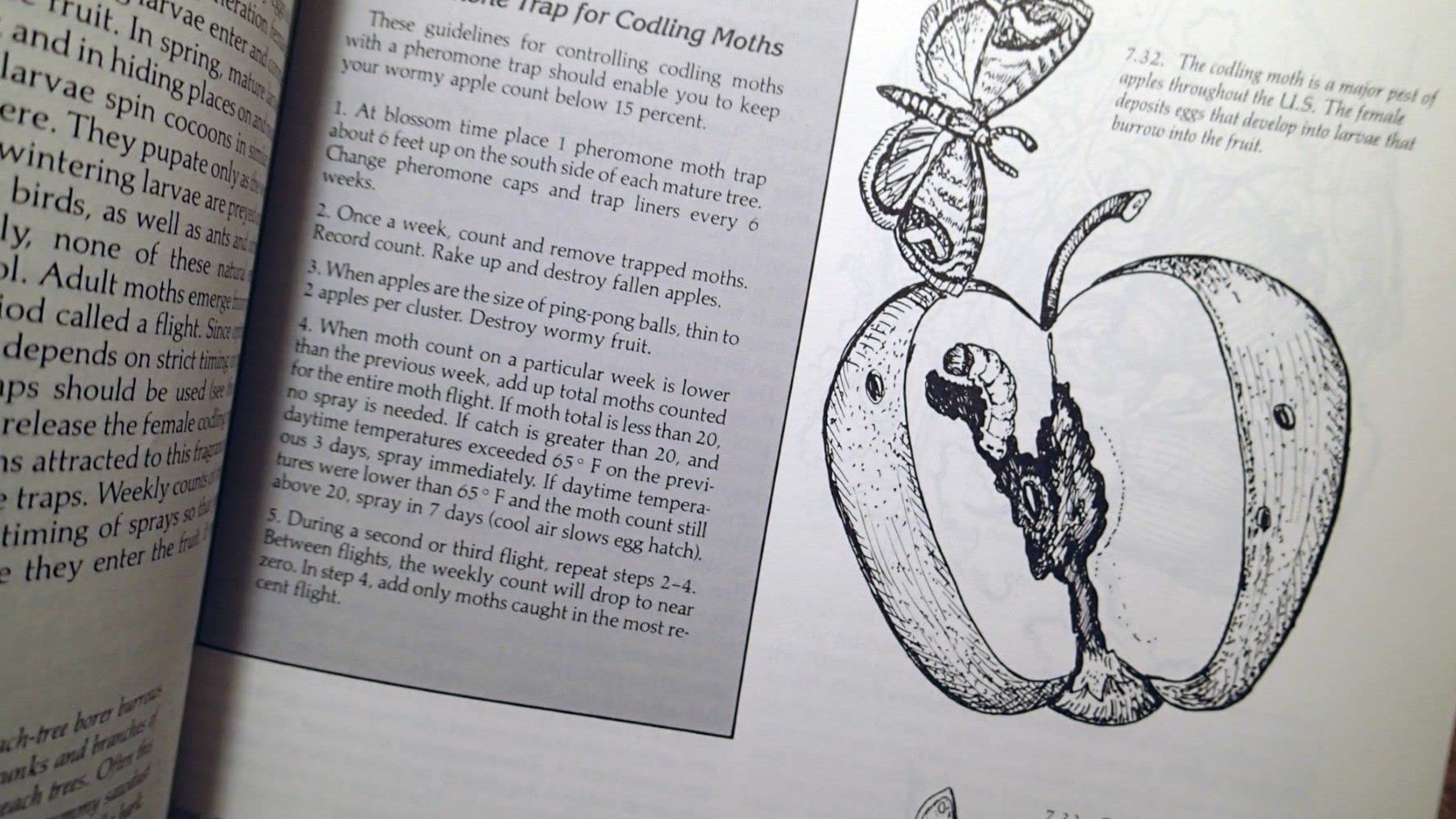 The Complete Book of Edible Landscaping: Home Landscaping with Food-Bearing Plants and Resource-Saving Techniques used book depot