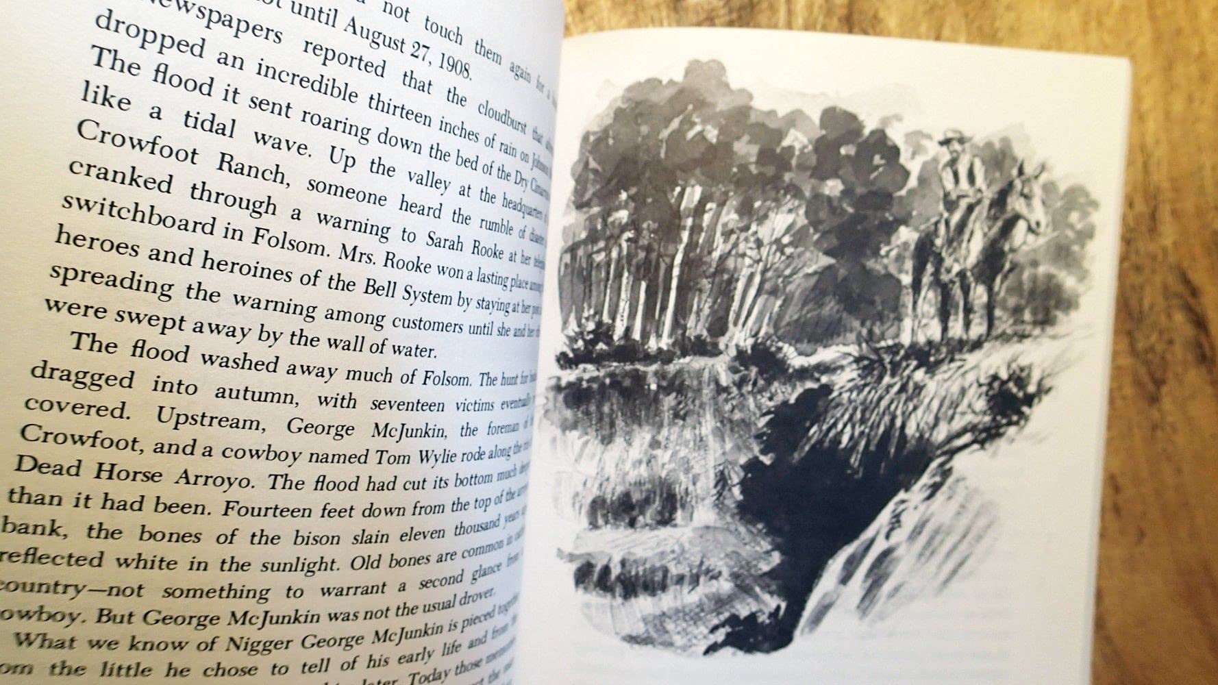 The Great Taos Bank Robbery: And Other Indian Country Affairs used book depot