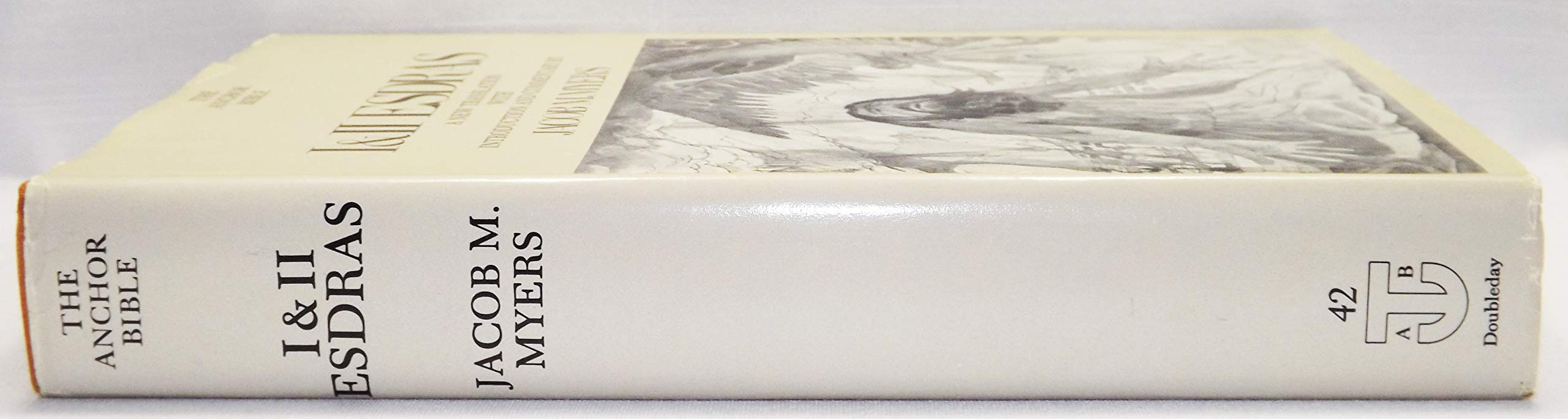 I & II Esdras: A New Translation with Introduction and Commentary (The Anchor Bible #42) used book depot