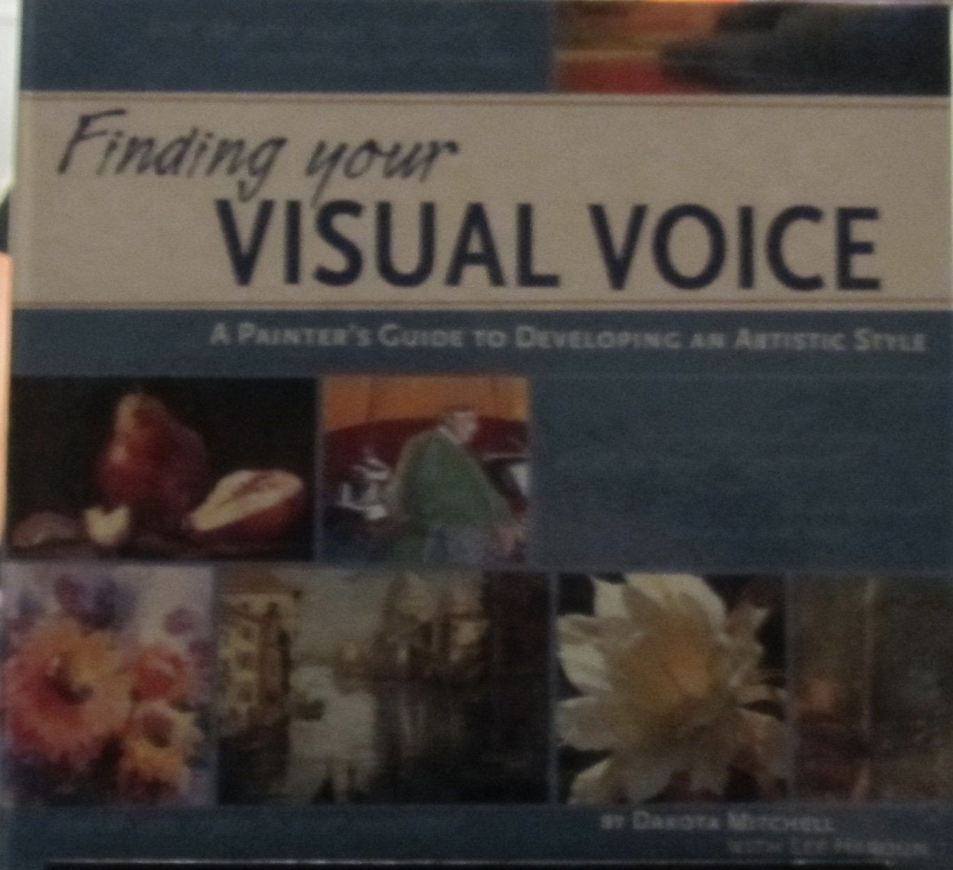 Finding Your Visual Voice: A Painter's Guide to Developing an Artistic Style used book depot