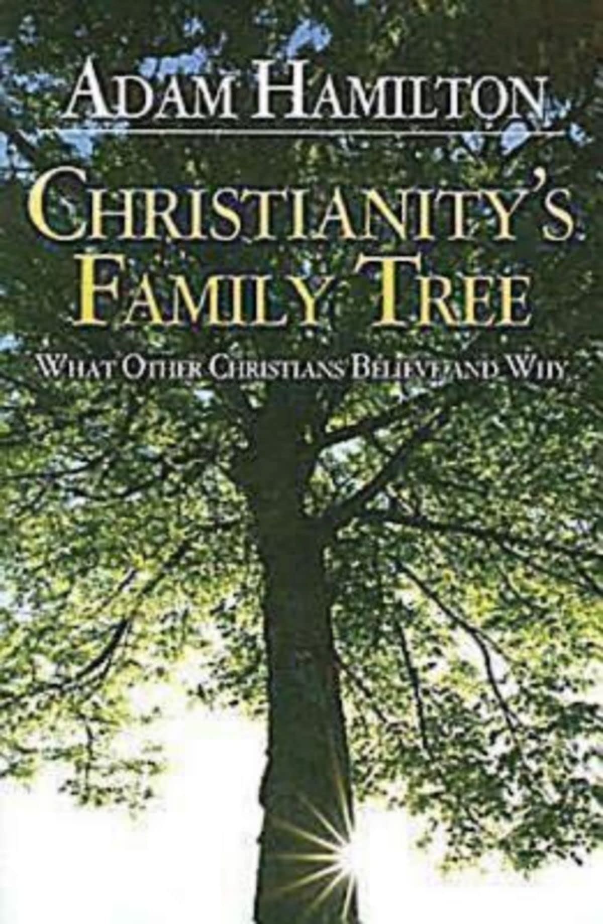 Christianity's Family Tree: What Other Christians Believe and Why used book depot