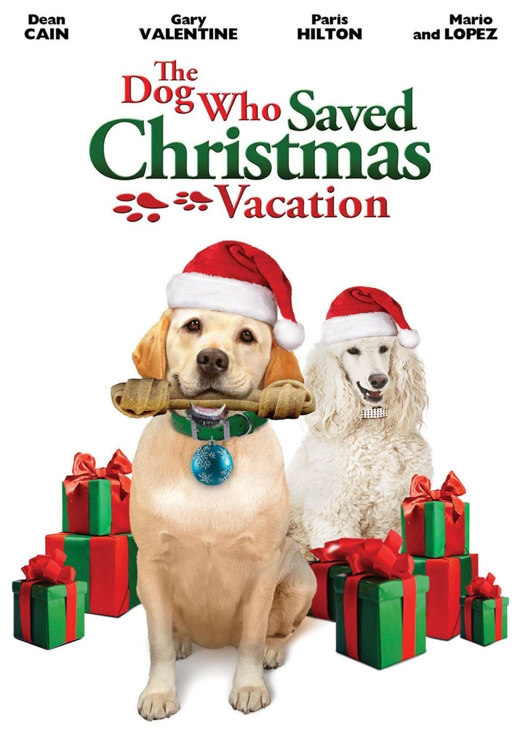The Dog Who Saved Christmas Vacation used book depot
