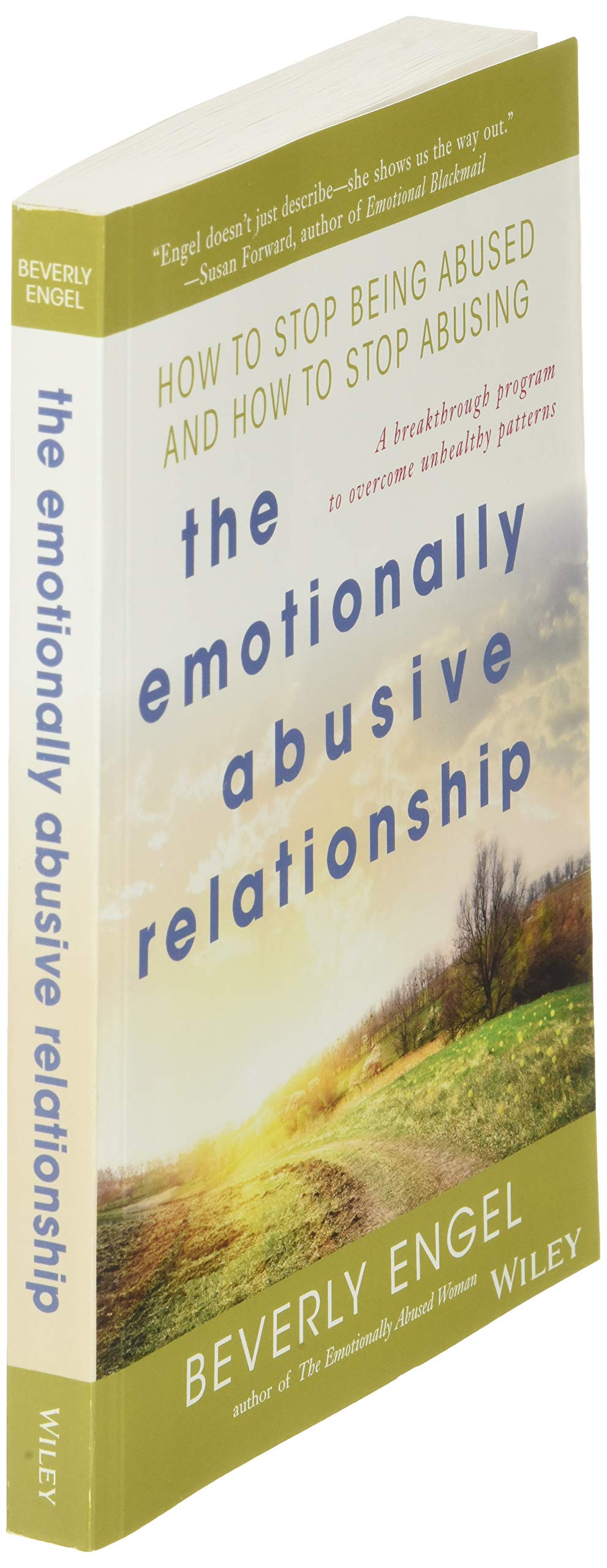 The Emotionally Abusive Relationship: How to Stop Being Abused and How to Stop Abusing used book depot