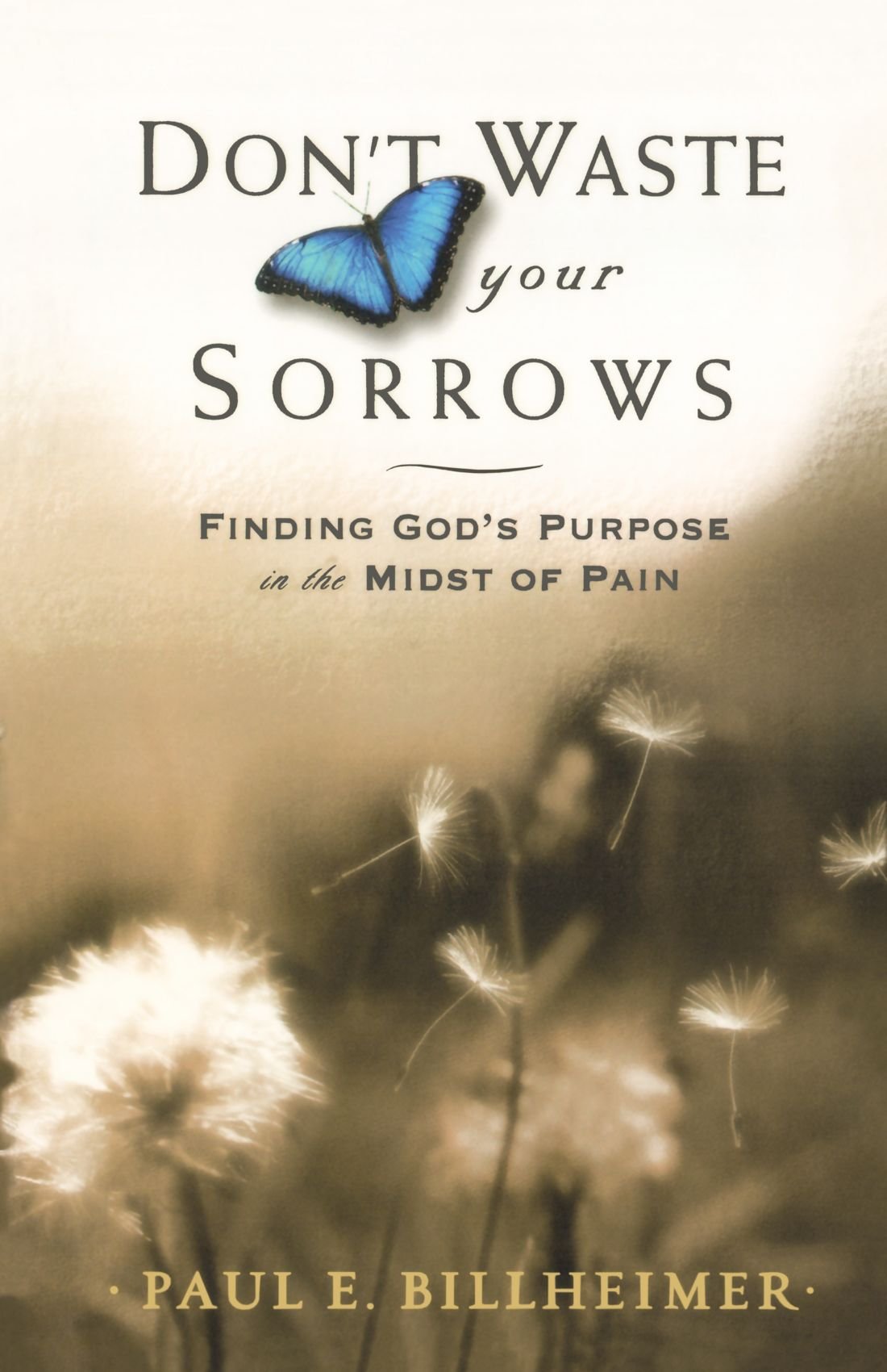 Dont Waste Your Sorrows: Finding God's Purpose in the Midst of Pain used book depot