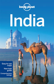 India 16 (inglés) (Lonely Planet) used book depot