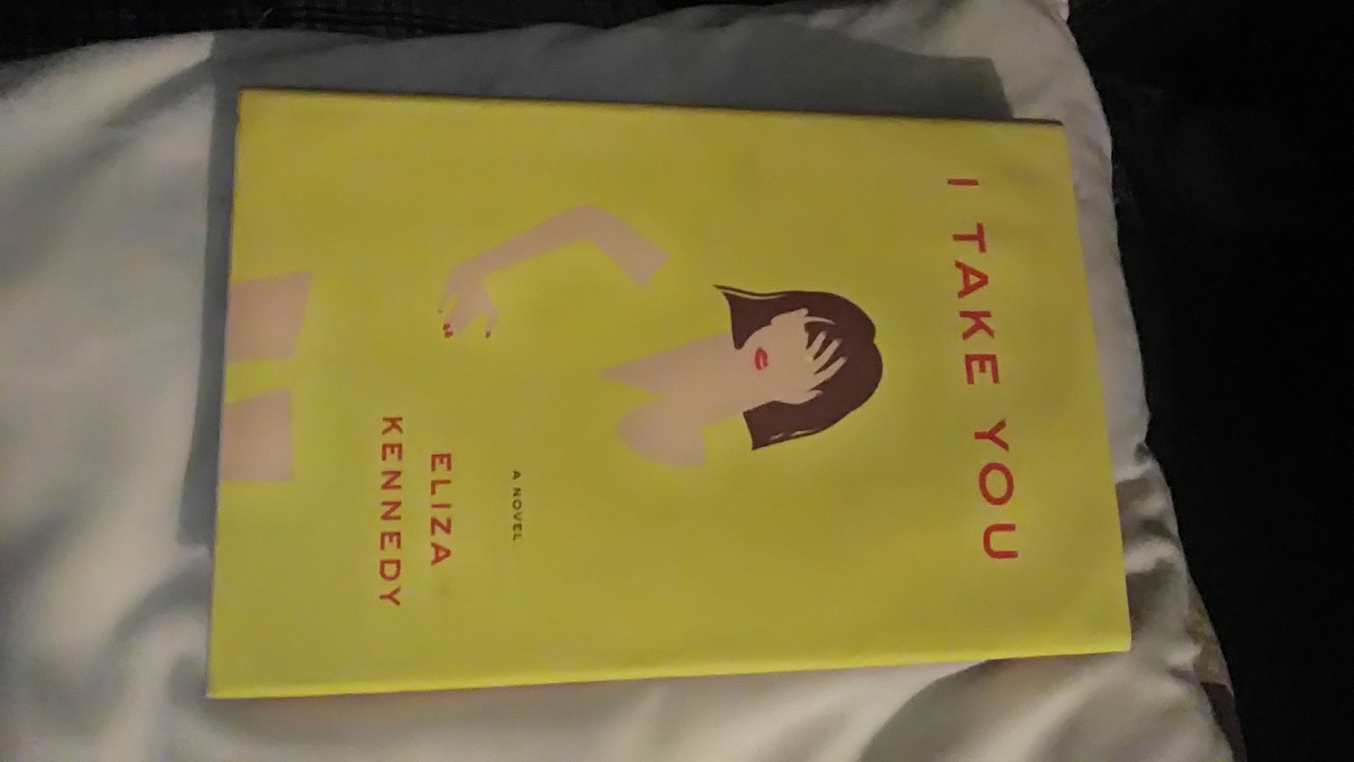I Take You: A Novel used book depot