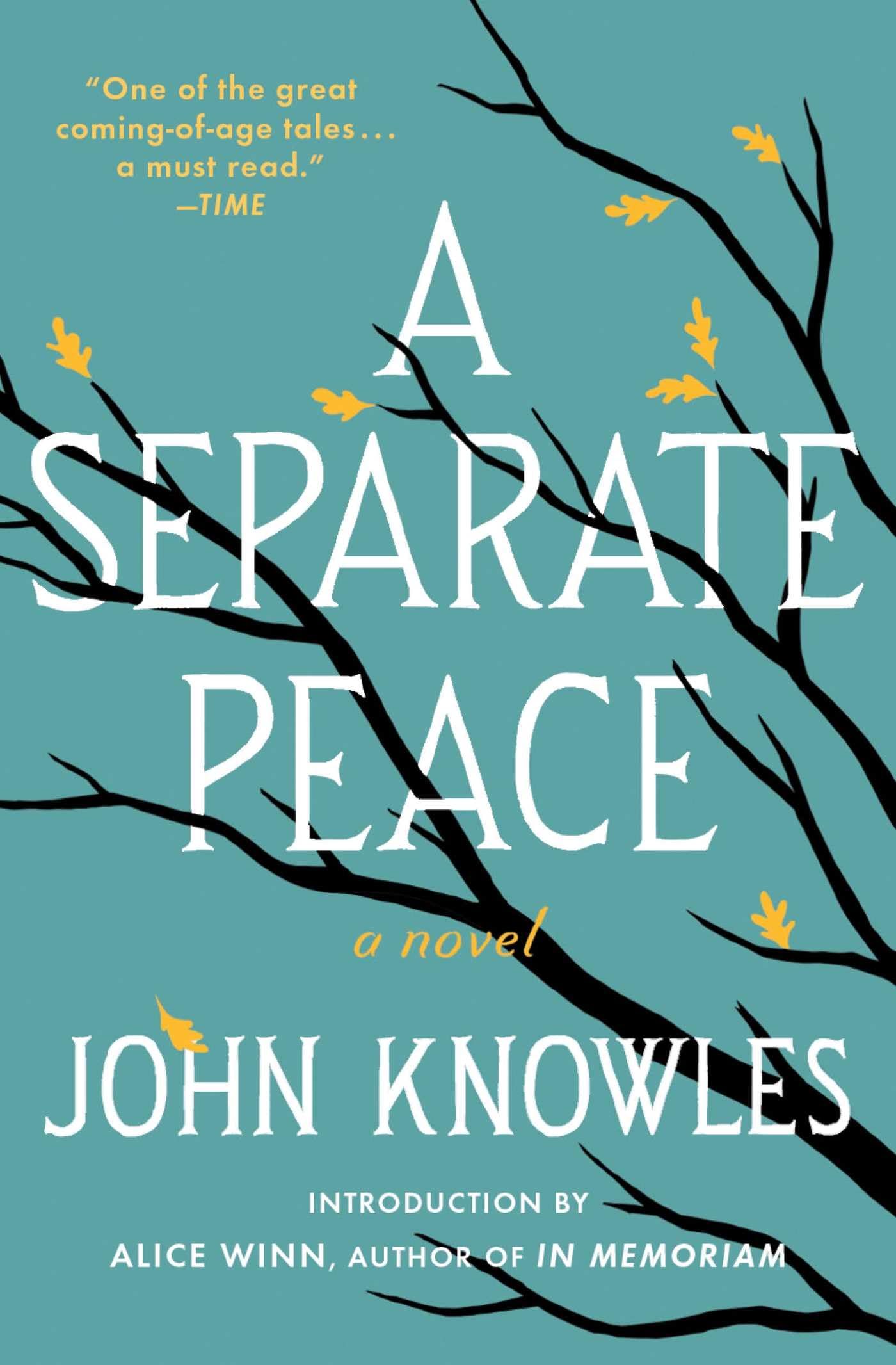 A Separate Peace used book depot