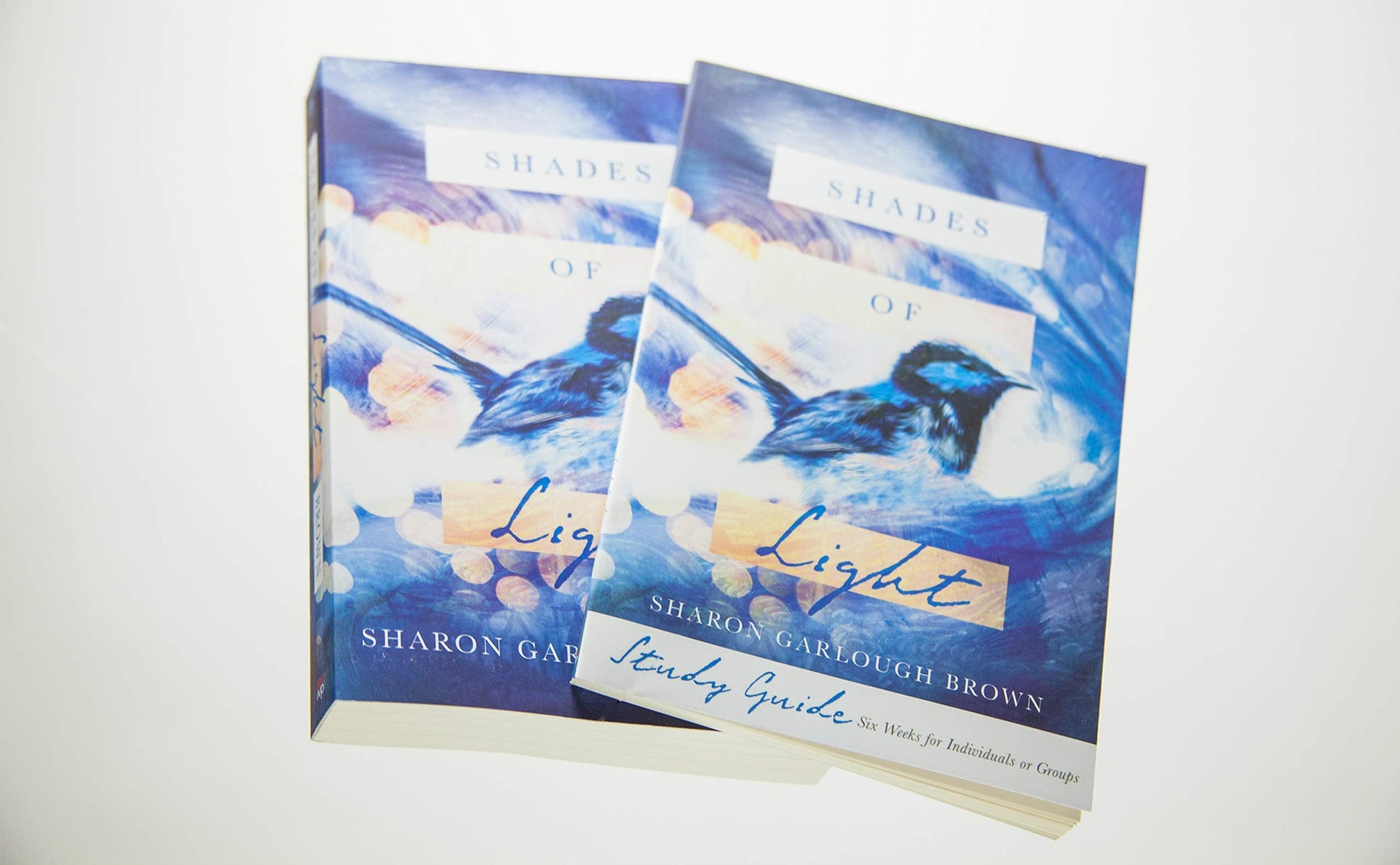 Shades of Light: A Novel used book depot