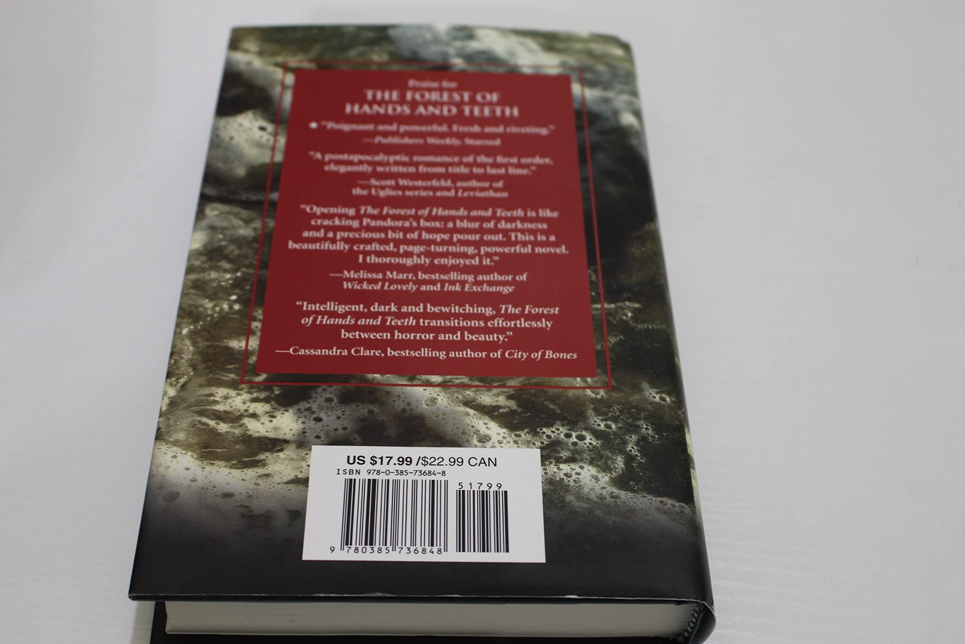 The Dead-Tossed Waves (Forest of Hands and Teeth, Book 2) used book depot