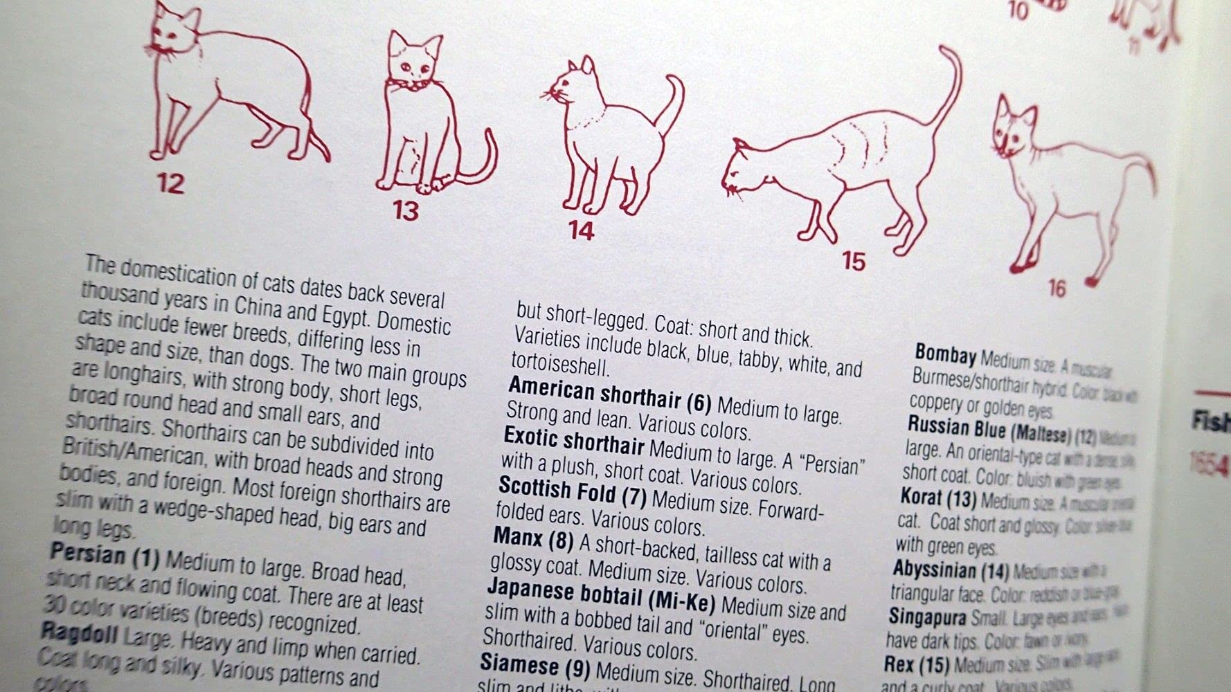The Macmillan Visual Desk Reference used book depot
