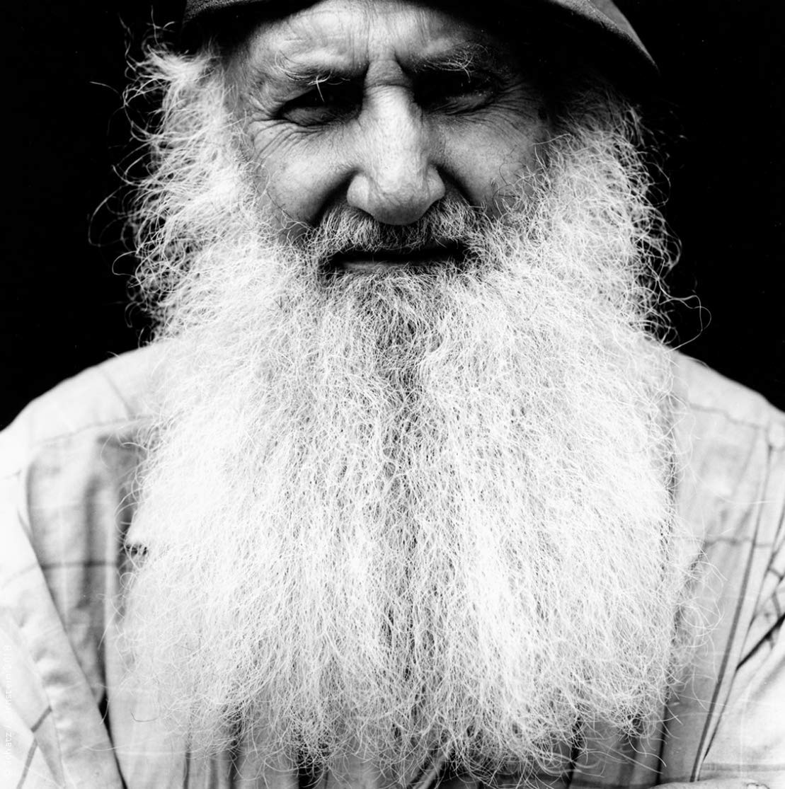 Homeless: Portraits of Americans in Hard Times used book depot