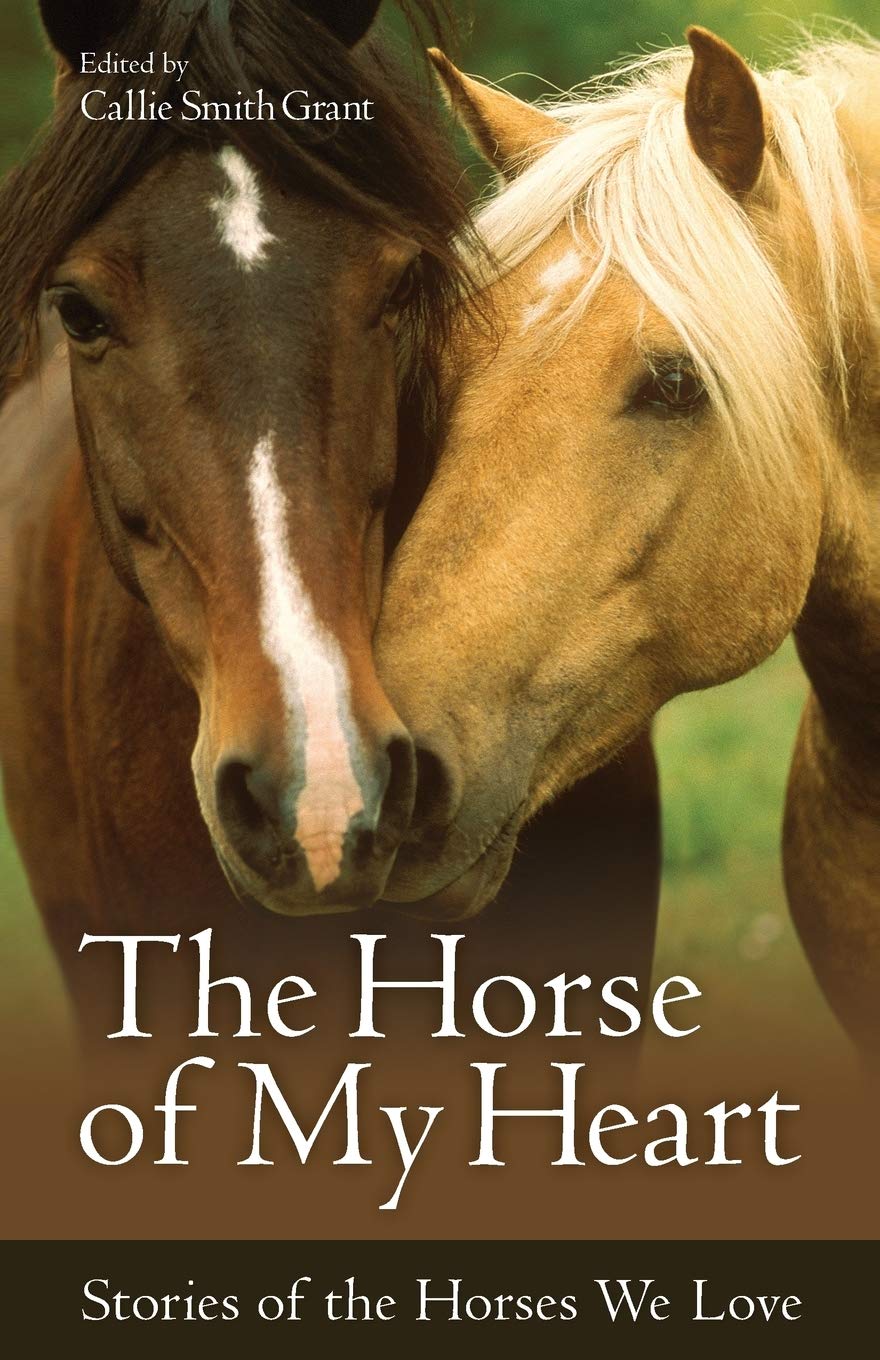 The Horse of My Heart: Stories of the Horses We Love used book depot
