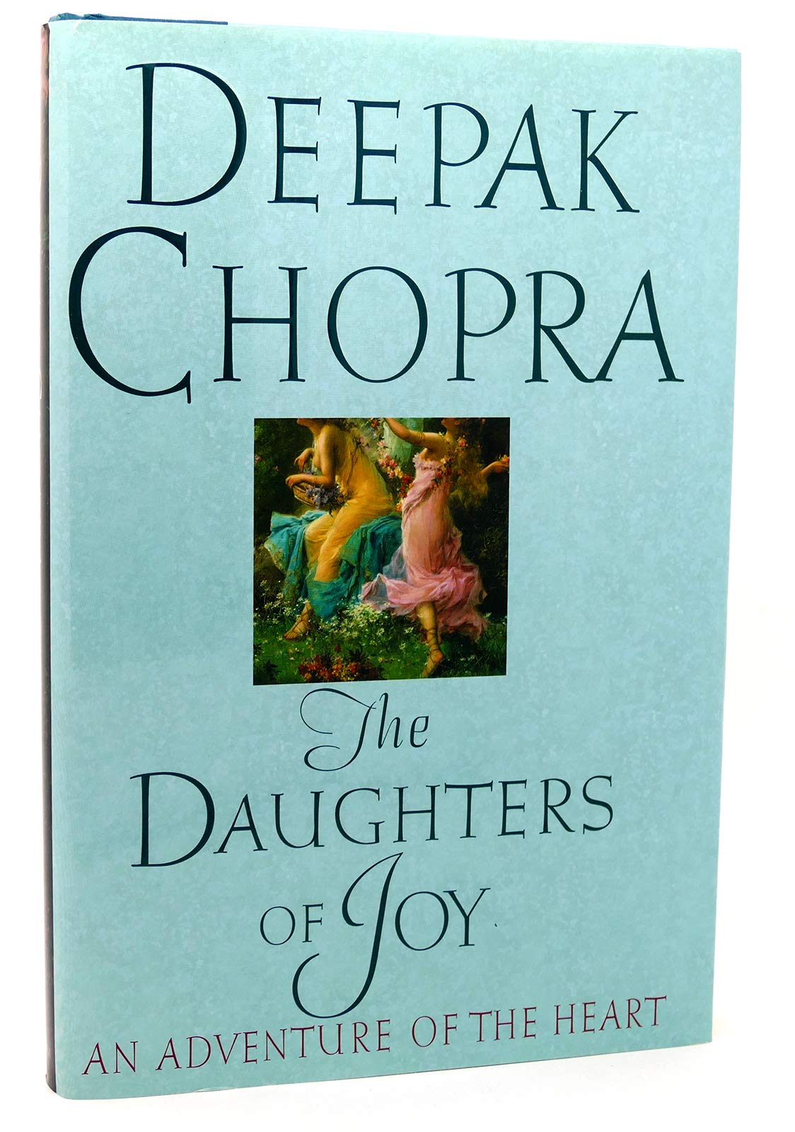 Daughters of Joy: A Novel of Spiritual Adventure used book depot