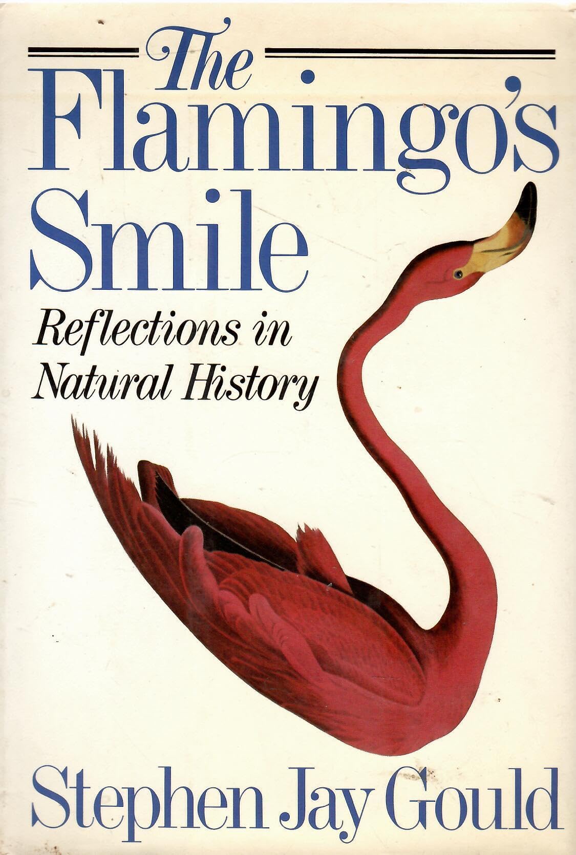The Flamingo's Smile: Reflections in Natural History used book depot