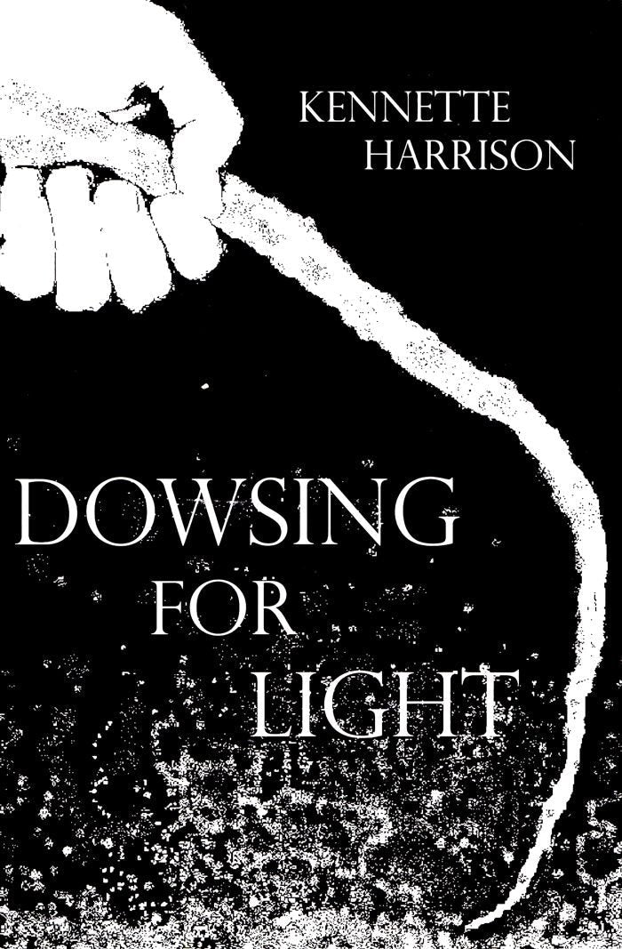 Dowsing for Light used book depot