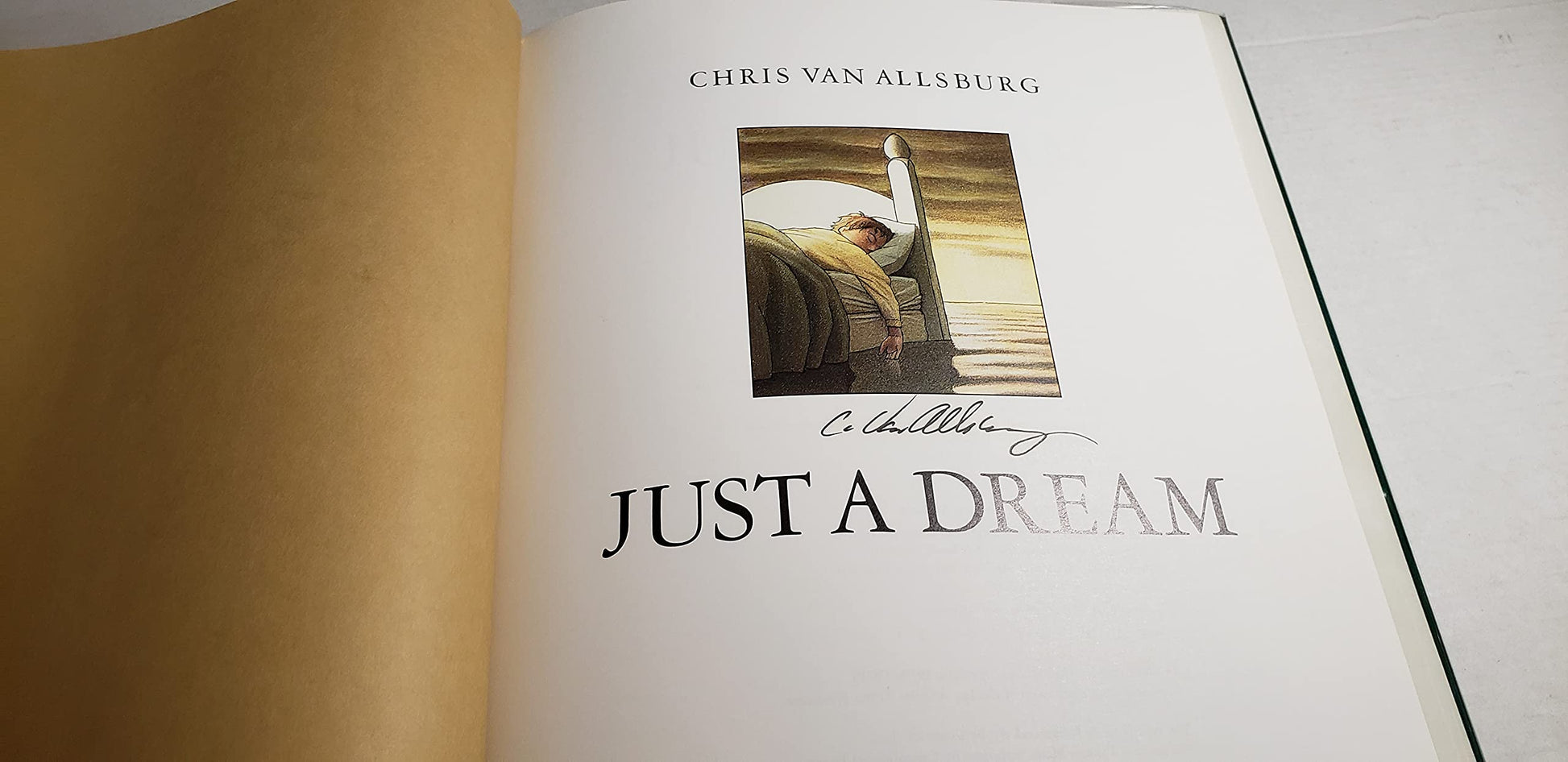 Just a Dream used book depot