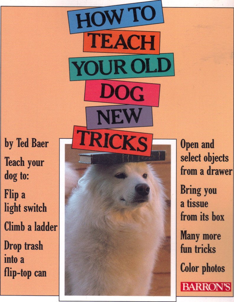 How to Teach Your Old Dog New Tricks used book depot