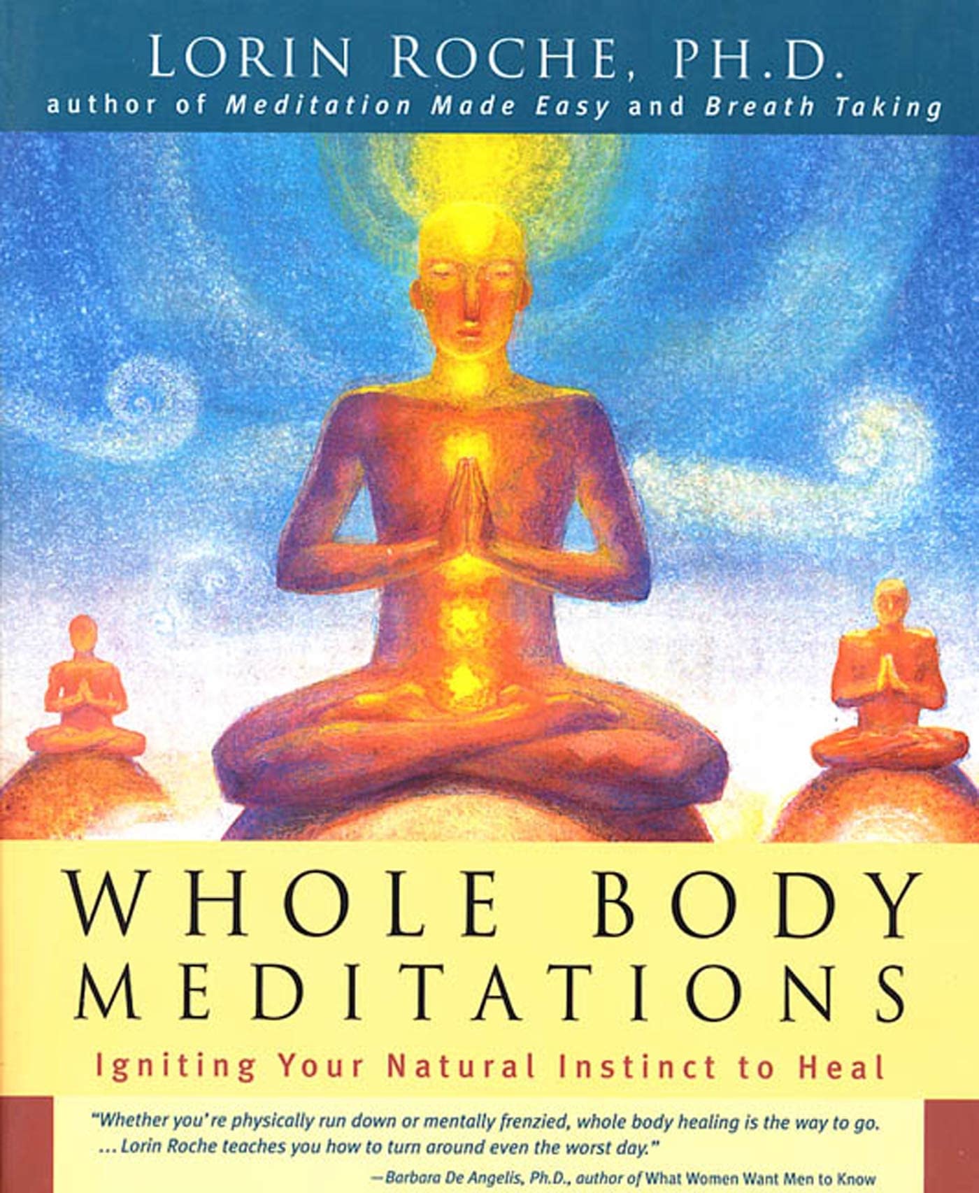 Whole Body Meditations : Igniting Your Natural Instinct to Heal used book depot