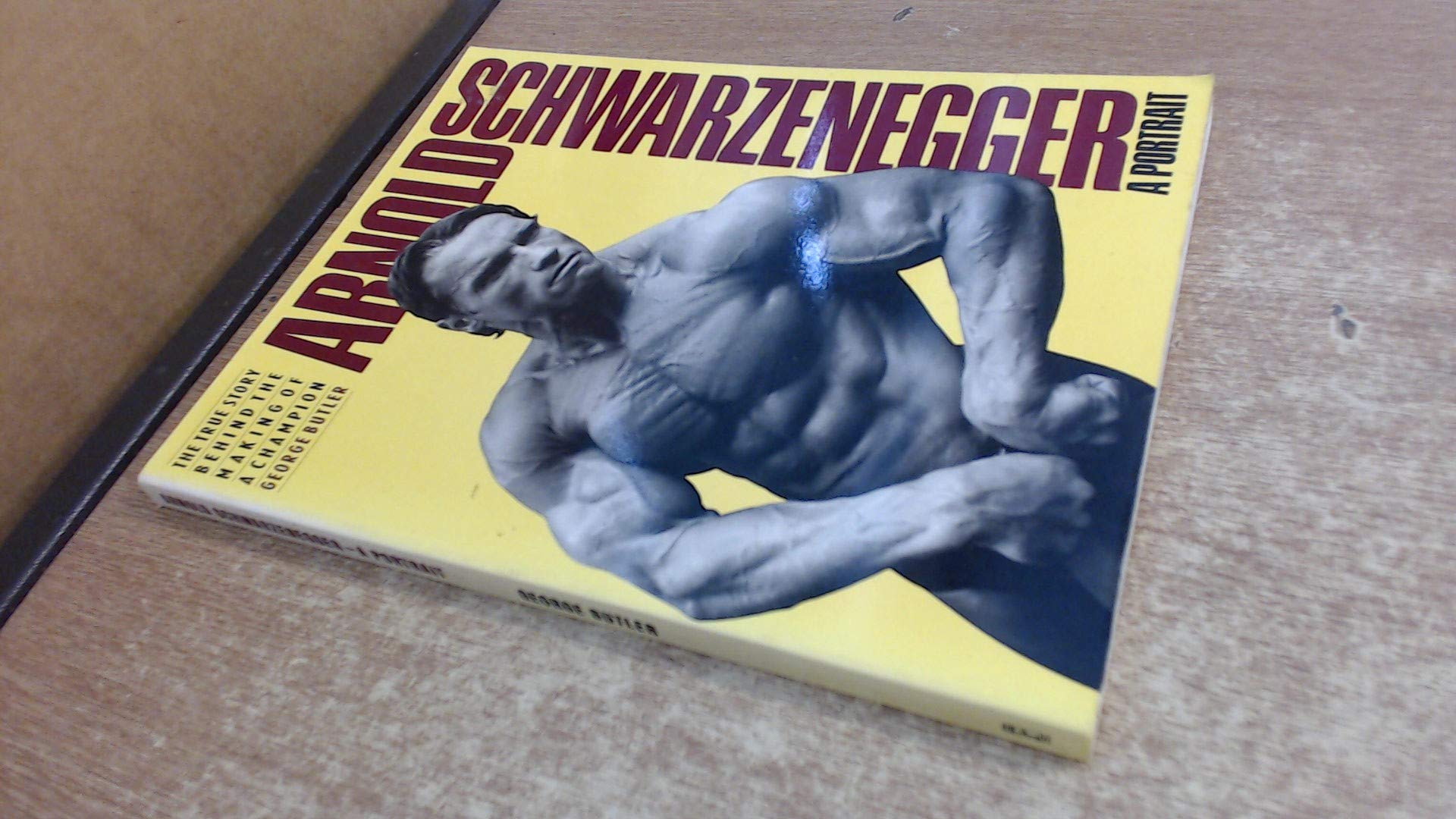 ARNOLD SCHWARZENEGGER: A PORTRAIT used book depot