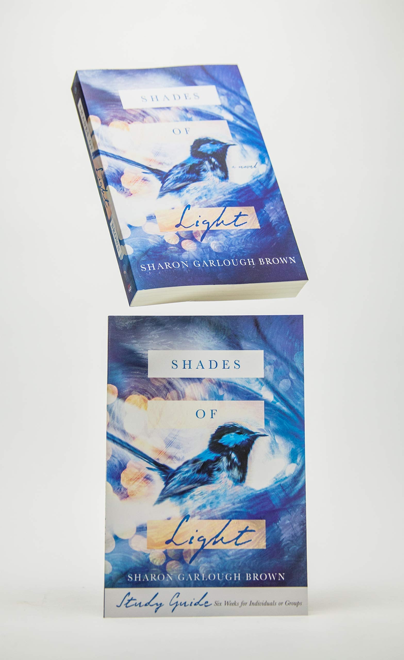 Shades of Light: A Novel used book depot