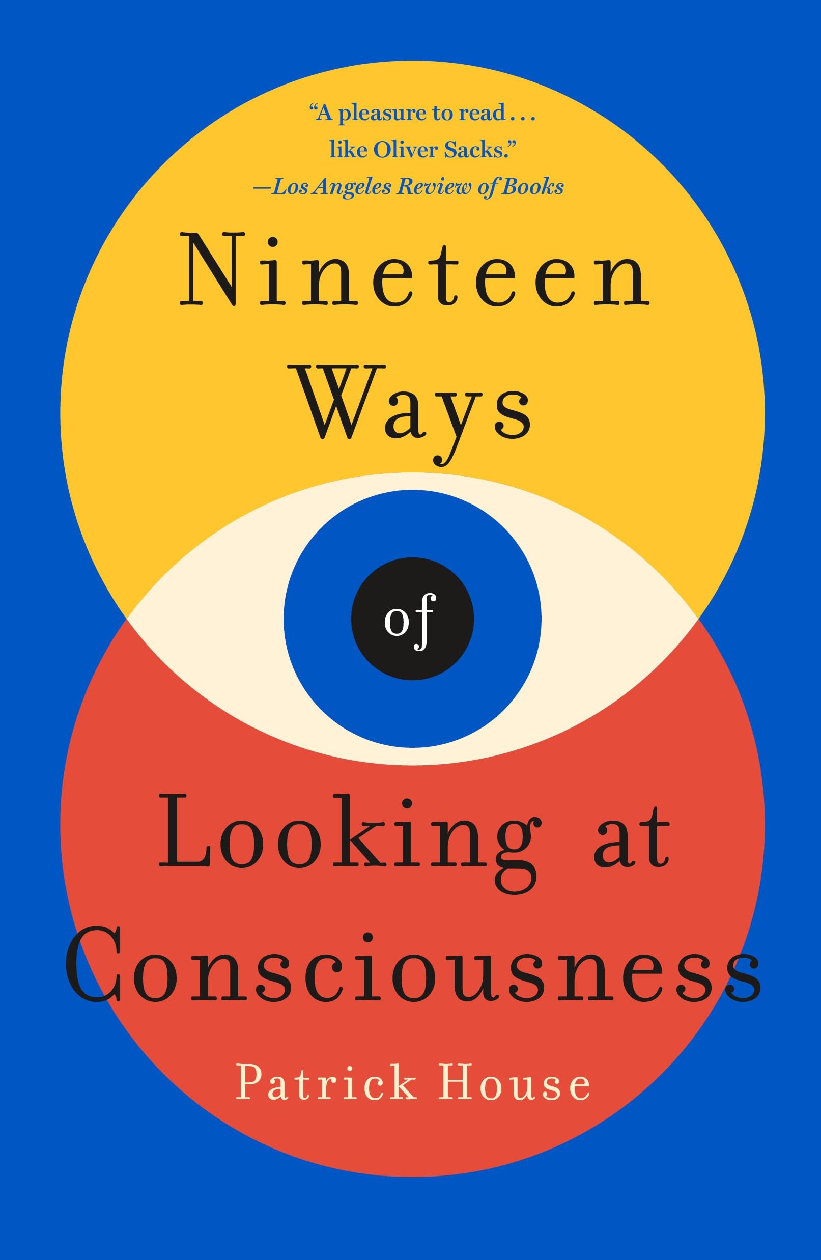 Nineteen Ways of Looking at Consciousness used book depot